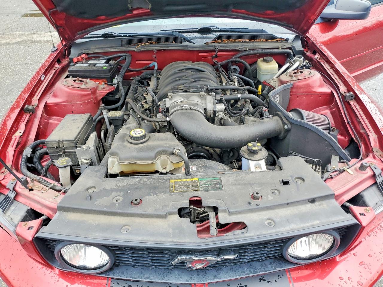 2006 Ford Mustang Gt Red vin: 1ZVHT82H765198595