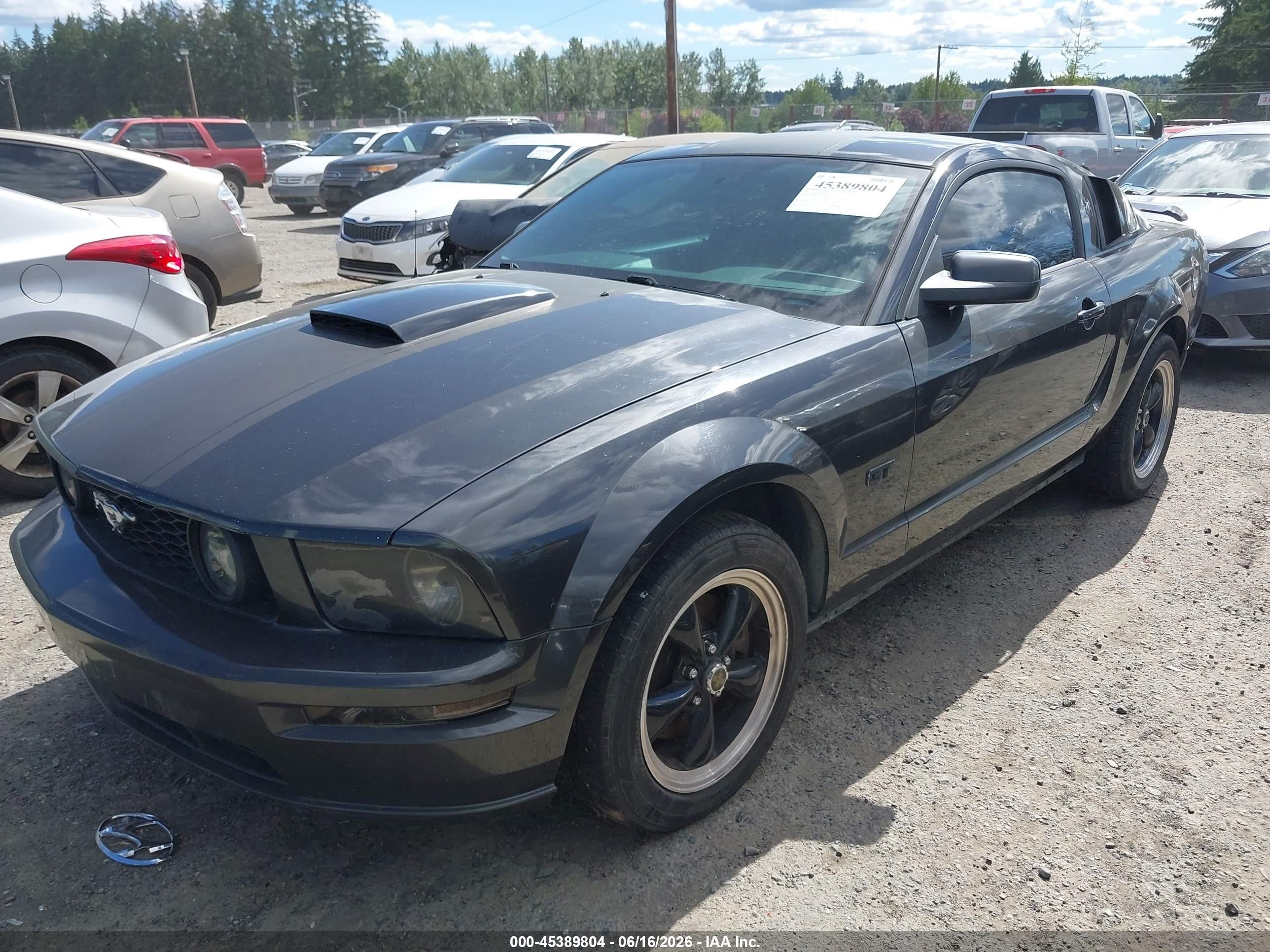 2007 Ford Mustang Gt Deluxe/gt Premium Gray vin: 1ZVHT82H775238174