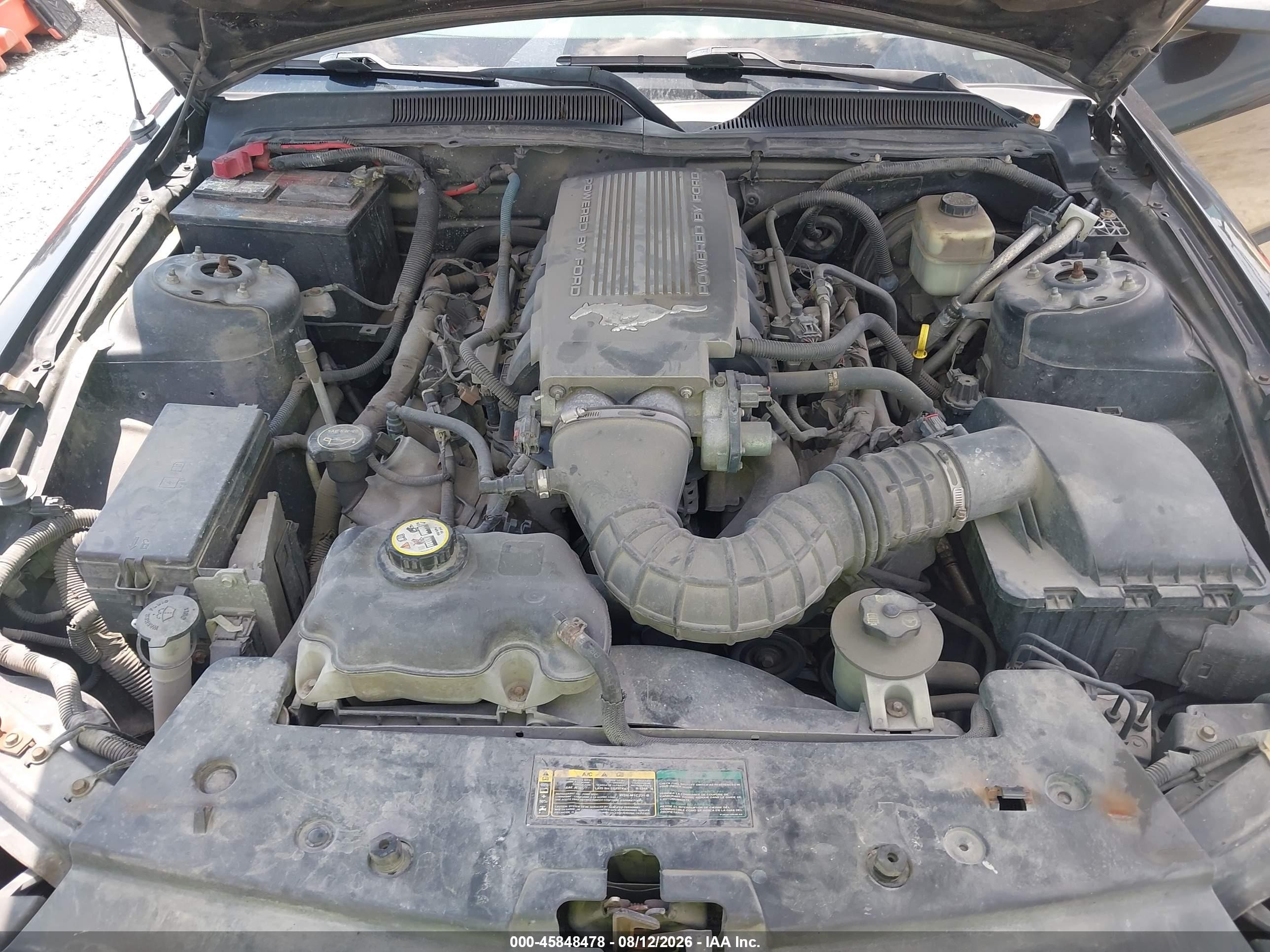 2007 Ford Mustang Gt Deluxe/gt Premium Черный vin: 1ZVHT82H775247912