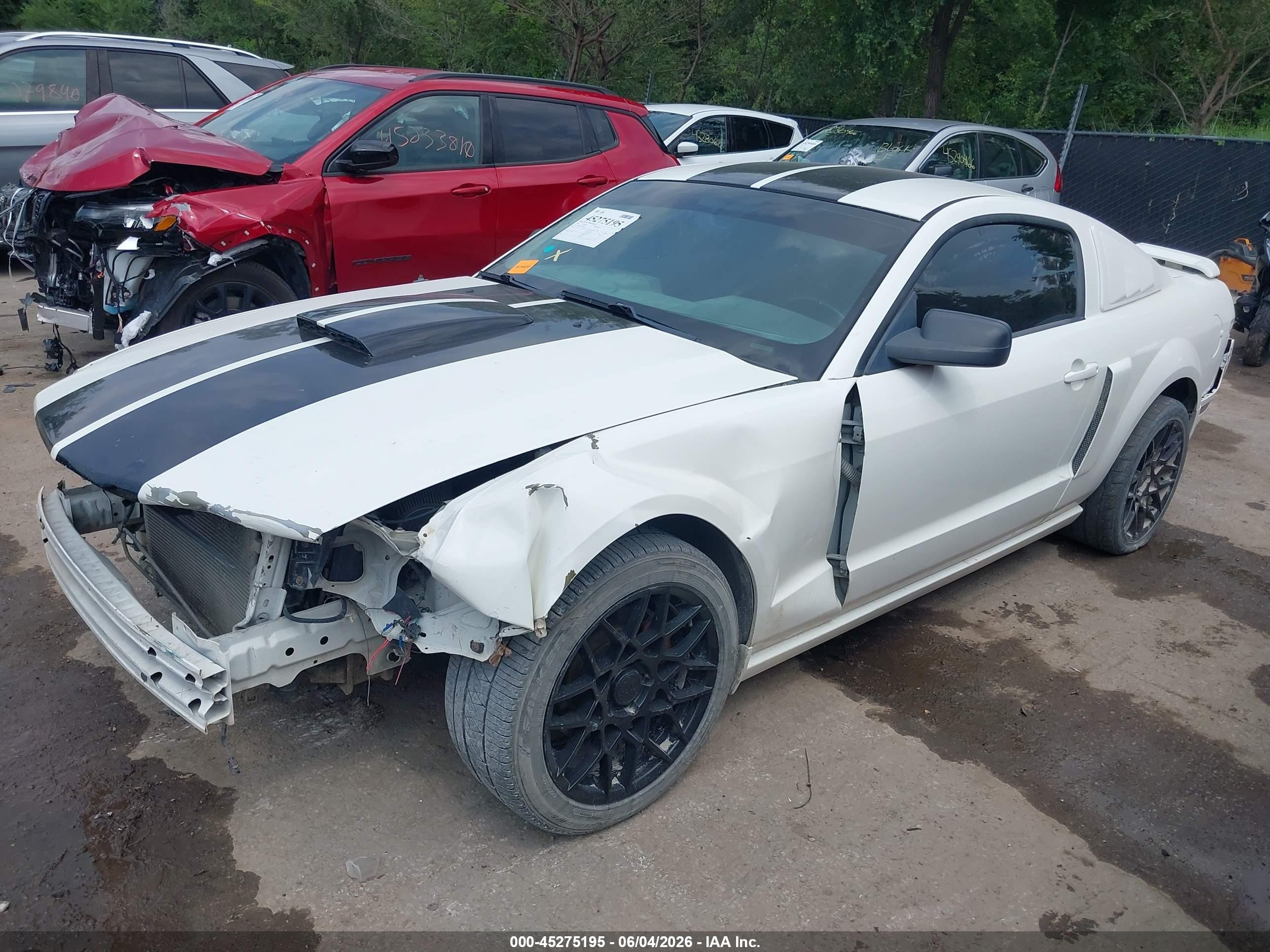 2008 Ford Mustang Gt Deluxe/gt Premium White vin: 1ZVHT82H785178124
