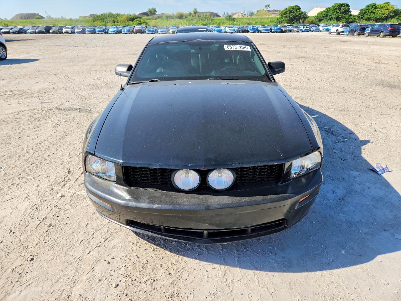 2009 Ford Mustang Gt Black vin: 1ZVHT82H795102520