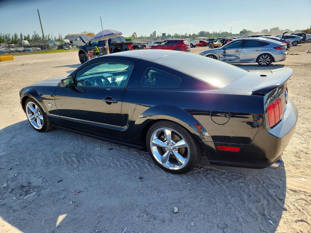 2009 Ford Mustang Gt Black vin: 1ZVHT82H795102520