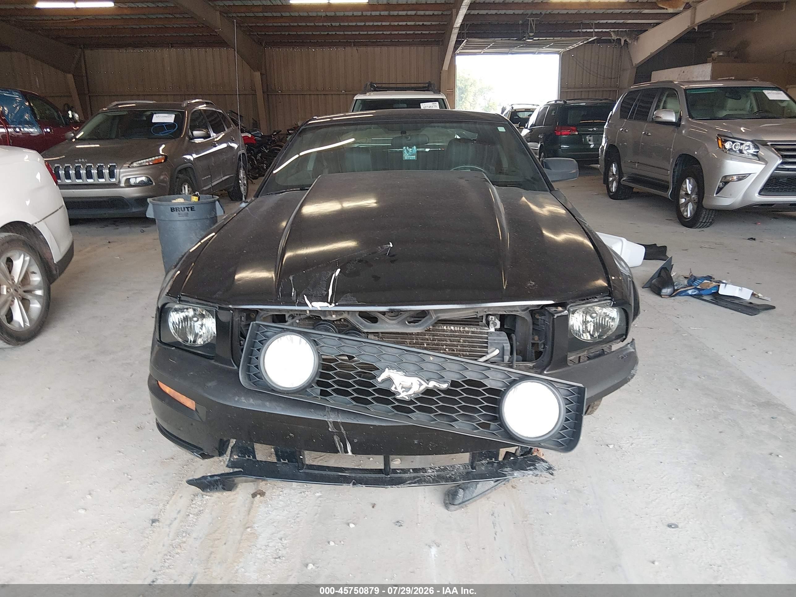 2008 Ford Mustang   Black vin: 1ZVHT82H885120460