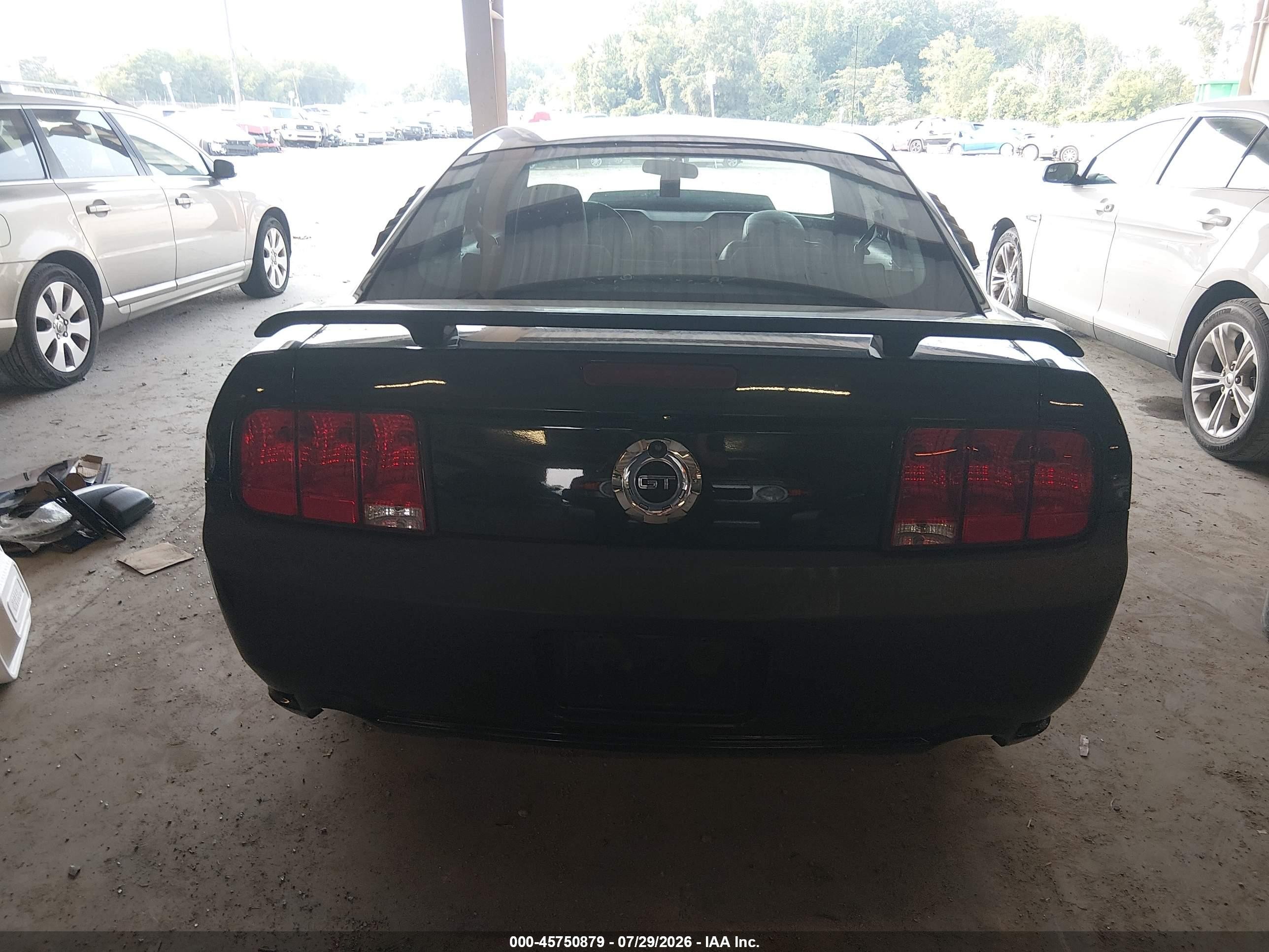 2008 Ford Mustang   Black vin: 1ZVHT82H885120460