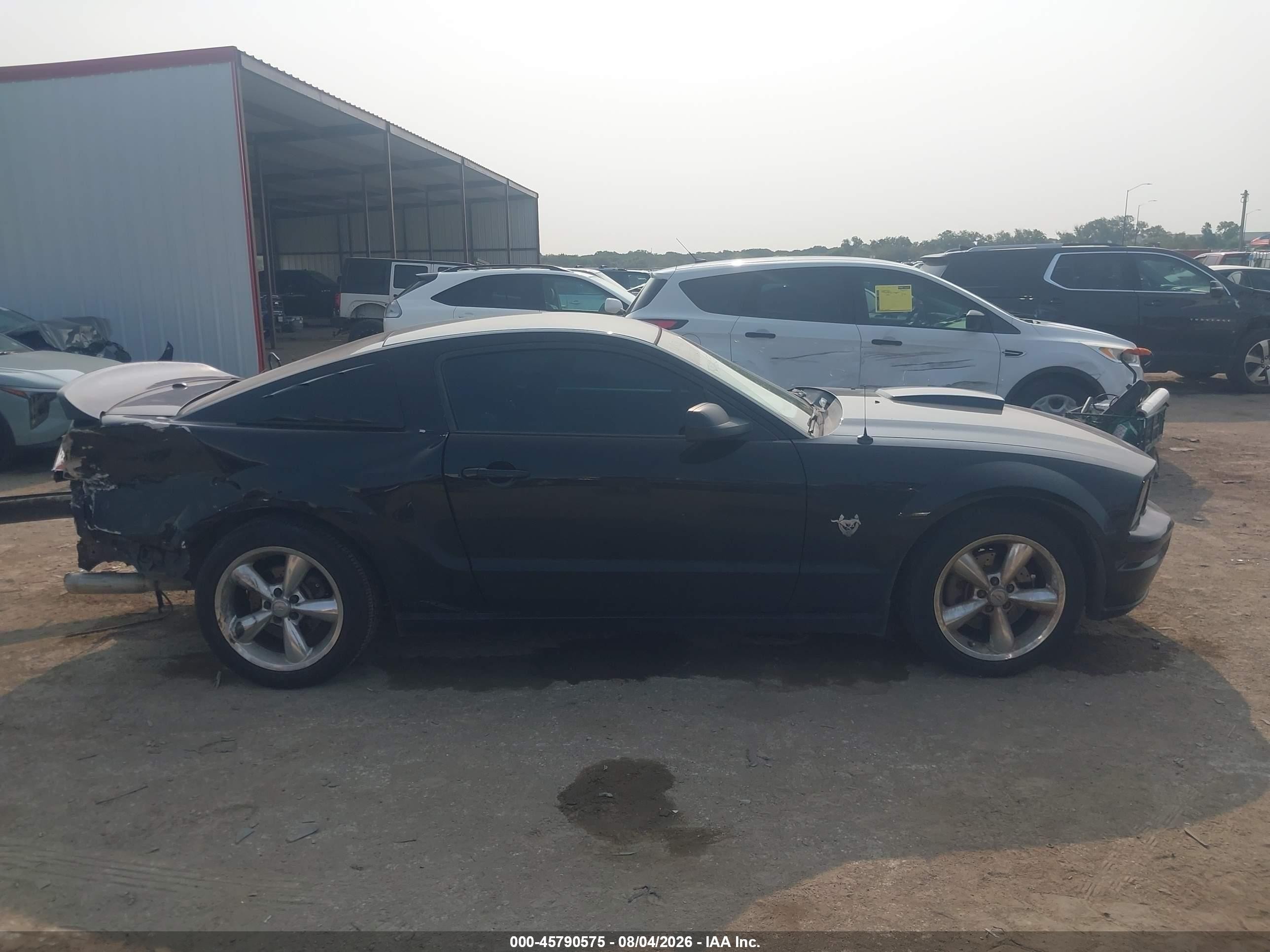 2009 Ford Mustang Gt/gt Premium Black vin: 1ZVHT82H895116863