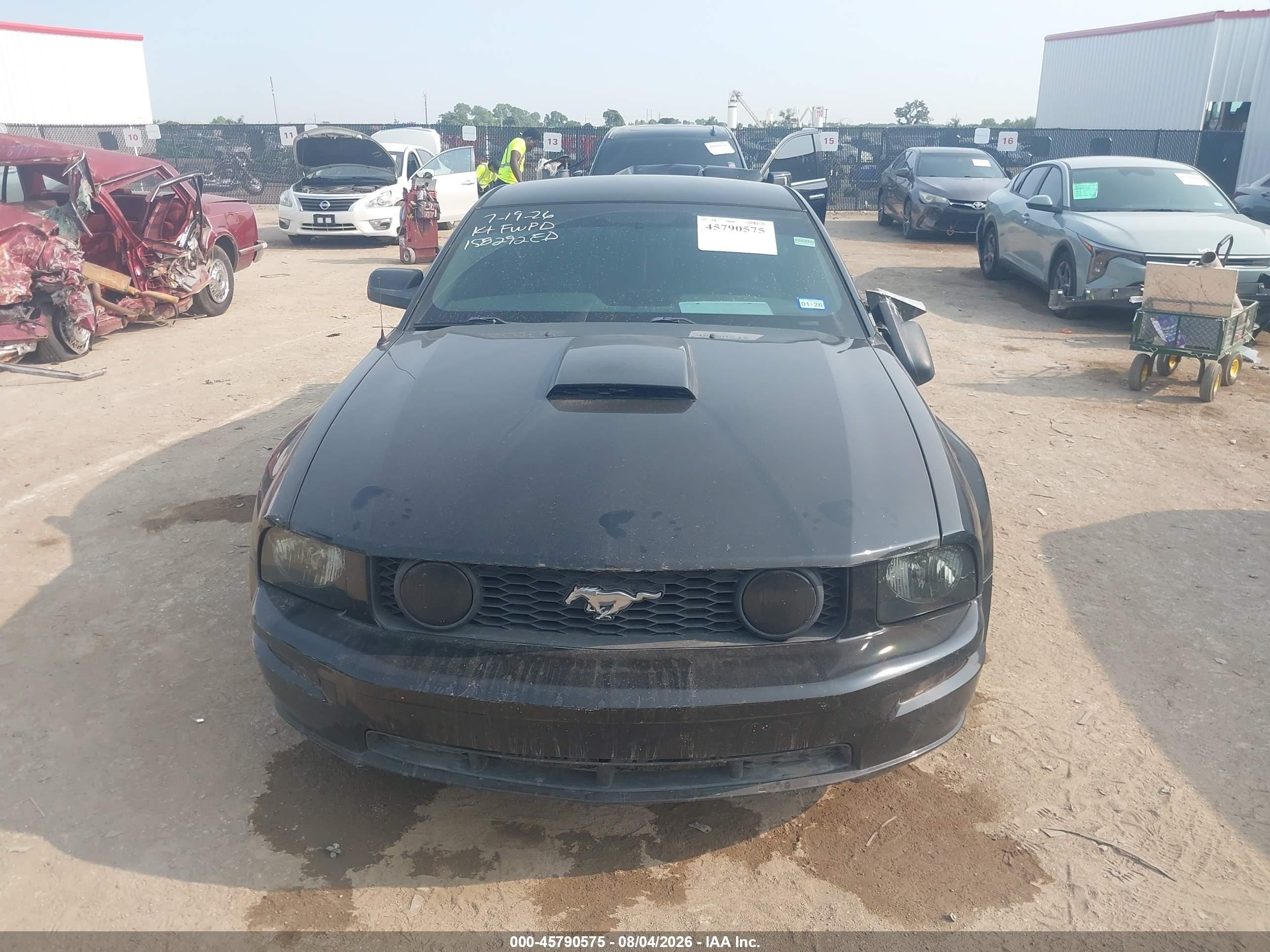 2009 Ford Mustang Gt/gt Premium Black vin: 1ZVHT82H895116863