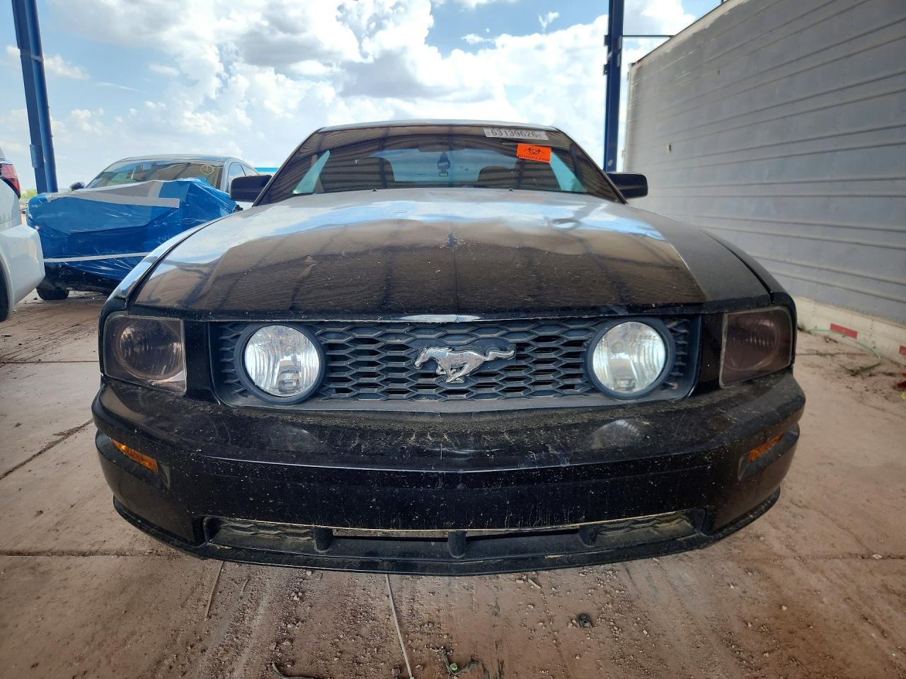 2005 Ford Mustang Gt Black vin: 1ZVHT82H955168478