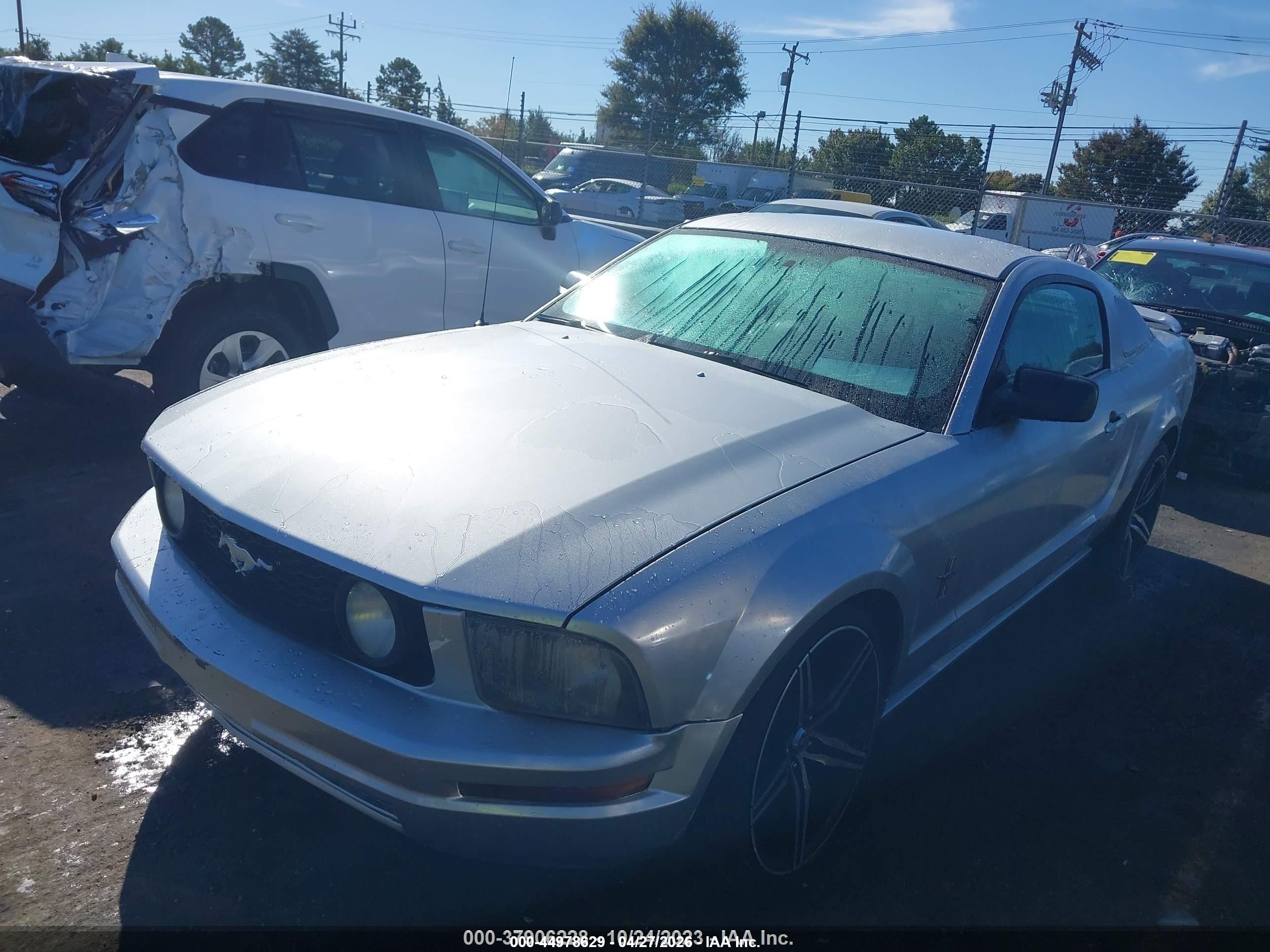 2006 Ford Mustang Gt Серебряный vin: 1ZVHT82H965218149