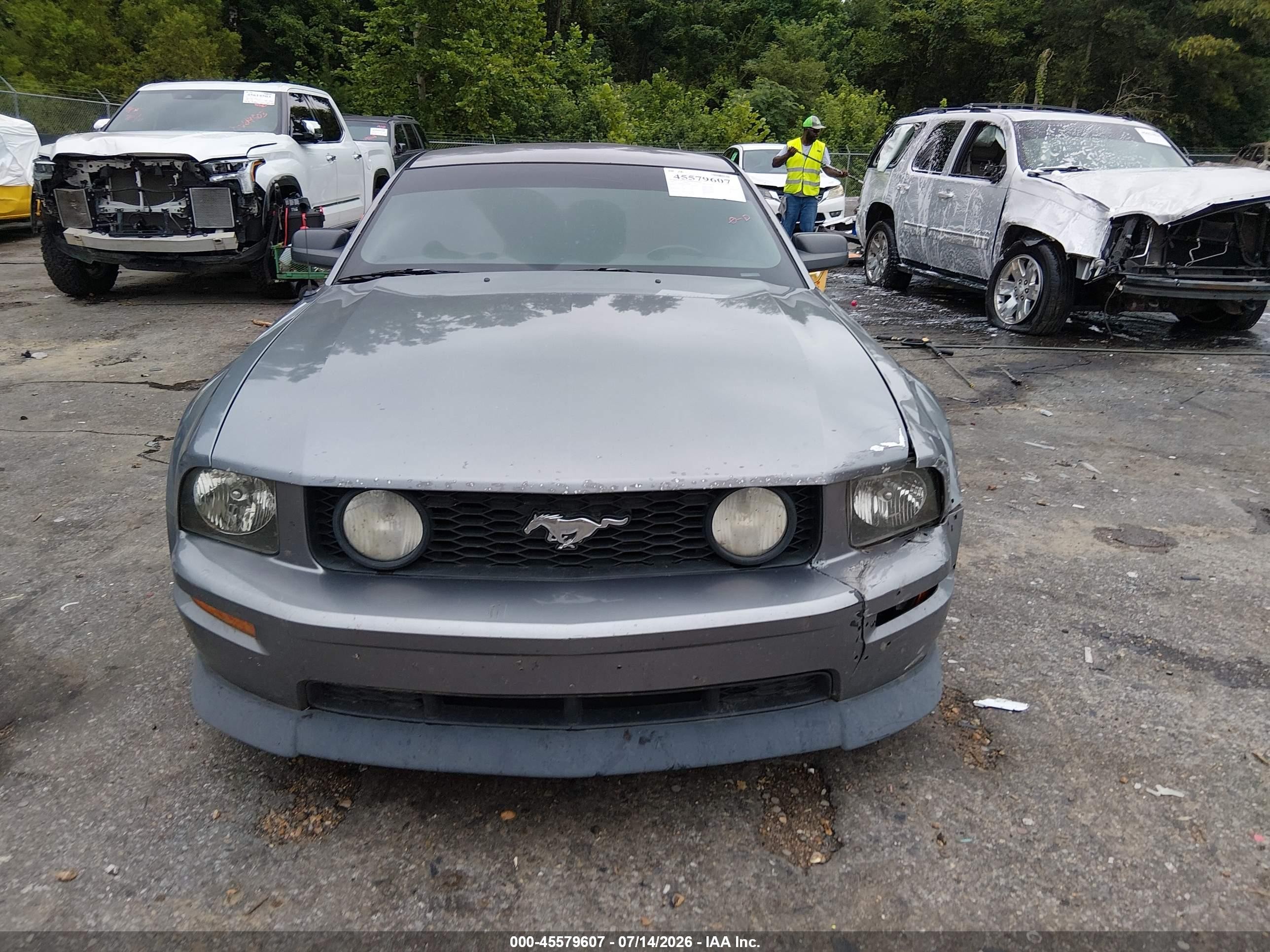2007 Ford Mustang Gt Deluxe/gt Premium Gray vin: 1ZVHT82H975196039