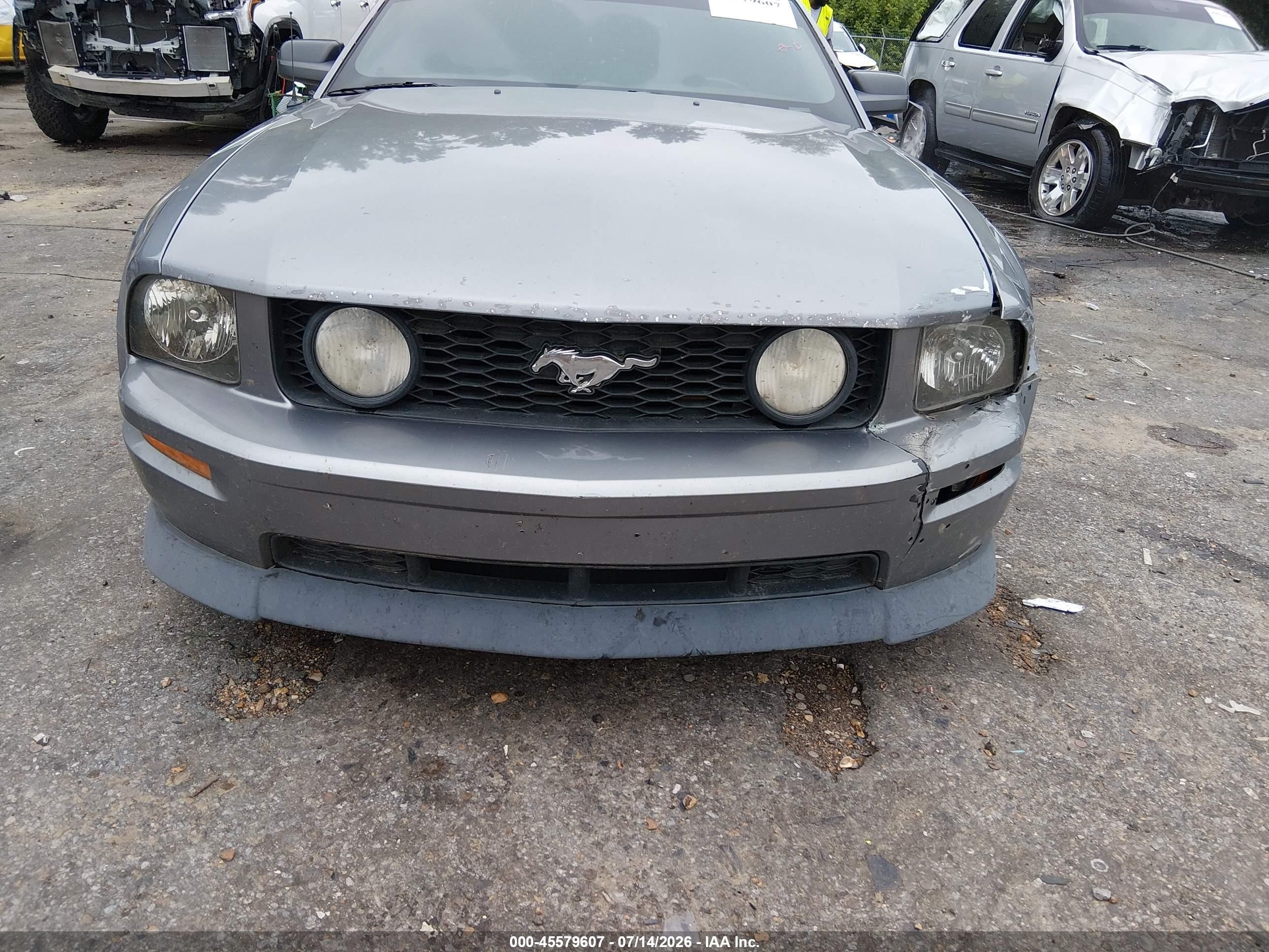 2007 Ford Mustang Gt Deluxe/gt Premium Gray vin: 1ZVHT82H975196039