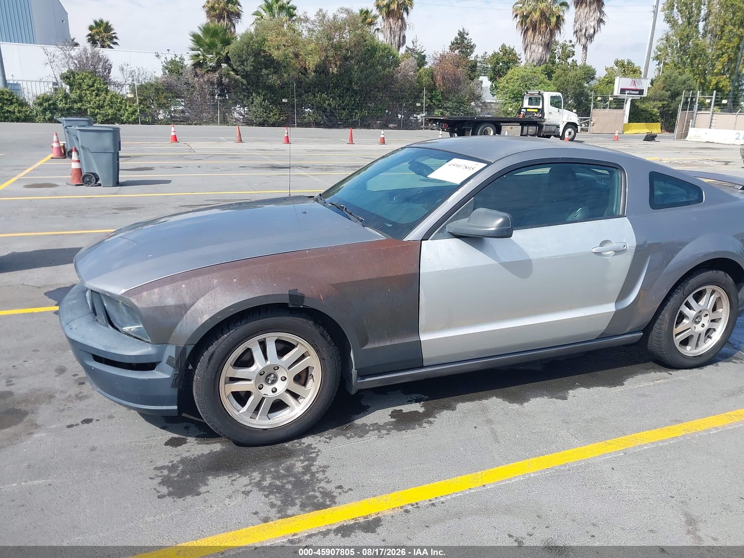 2007 Ford Mustang Gt Deluxe/gt Premium Gray vin: 1ZVHT82H975212613