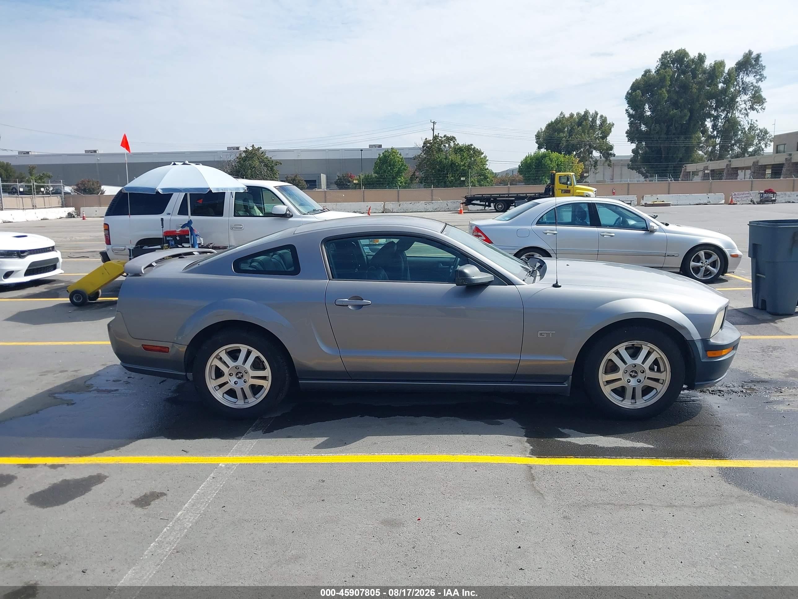2007 Ford Mustang Gt Deluxe/gt Premium Gray vin: 1ZVHT82H975212613