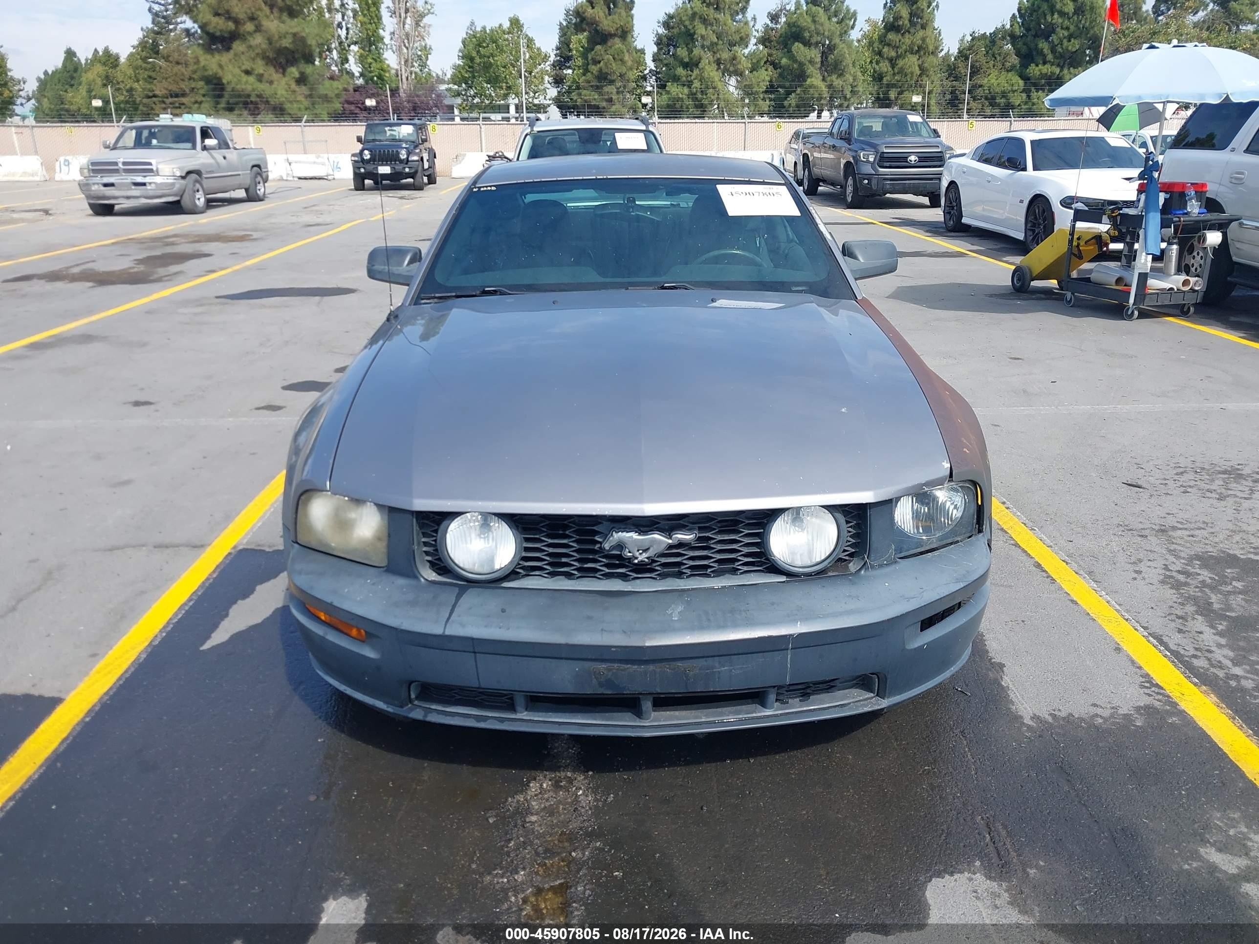 2007 Ford Mustang Gt Deluxe/gt Premium Gray vin: 1ZVHT82H975212613