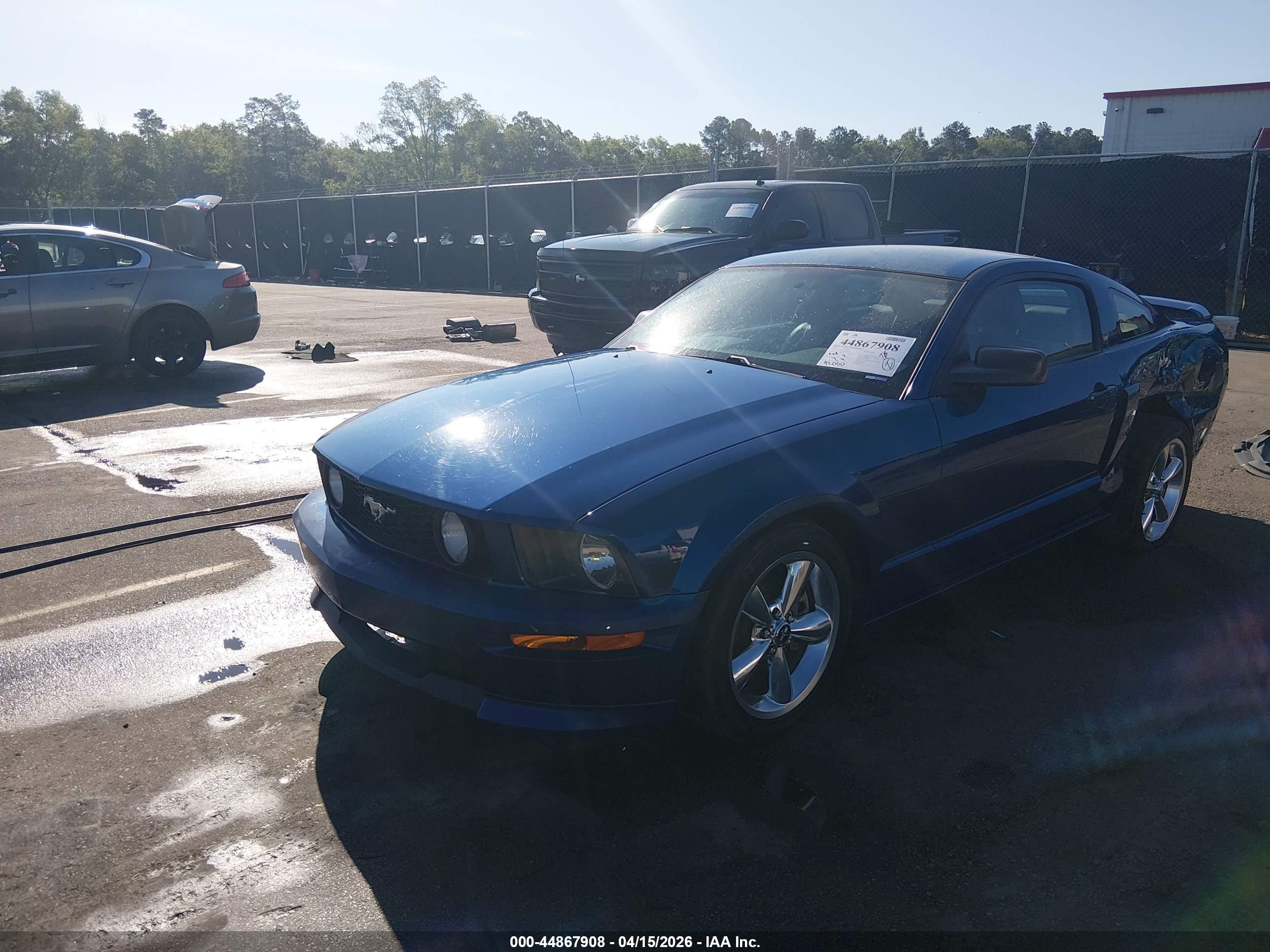 2008 Ford Mustang Gt Deluxe/gt Premium Синий vin: 1ZVHT82H985133377