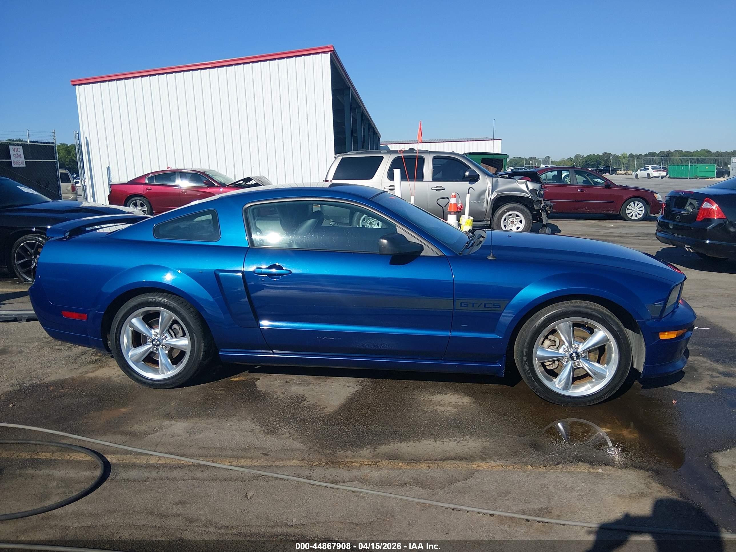 2008 Ford Mustang Gt Deluxe/gt Premium Синий vin: 1ZVHT82H985133377