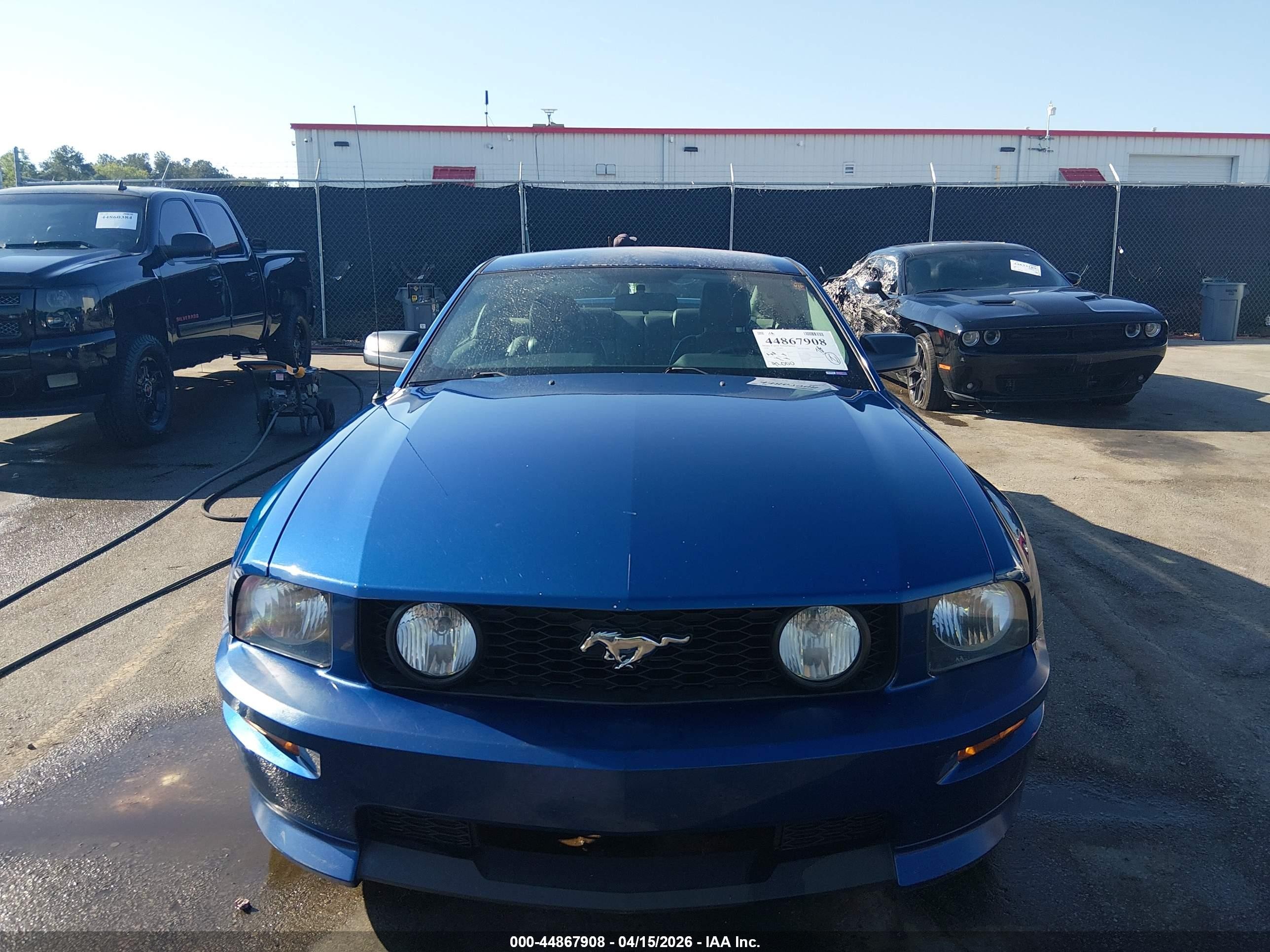 2008 Ford Mustang Gt Deluxe/gt Premium Синий vin: 1ZVHT82H985133377