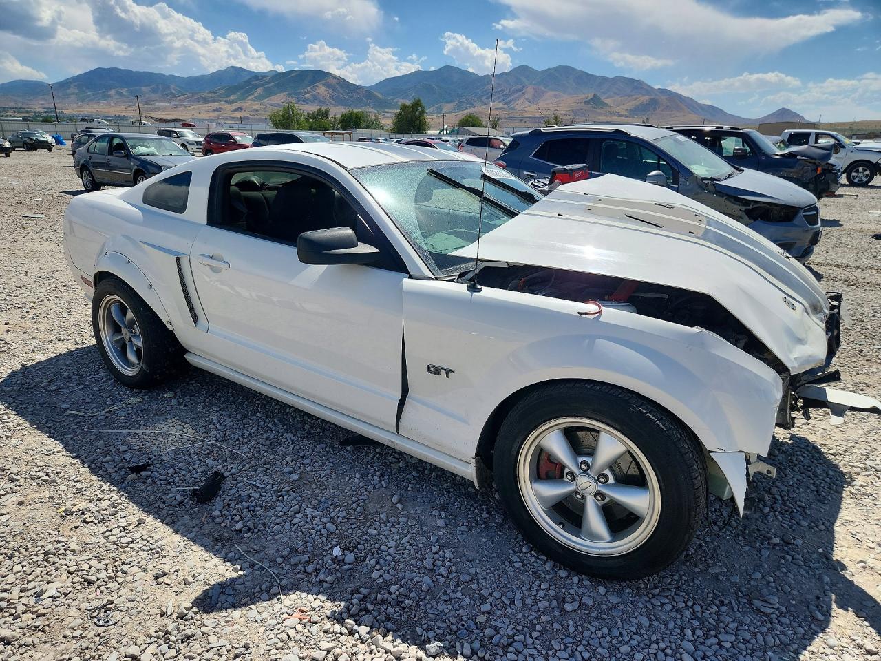 2008 Ford Mustang Gt White vin: 1ZVHT82H985198519
