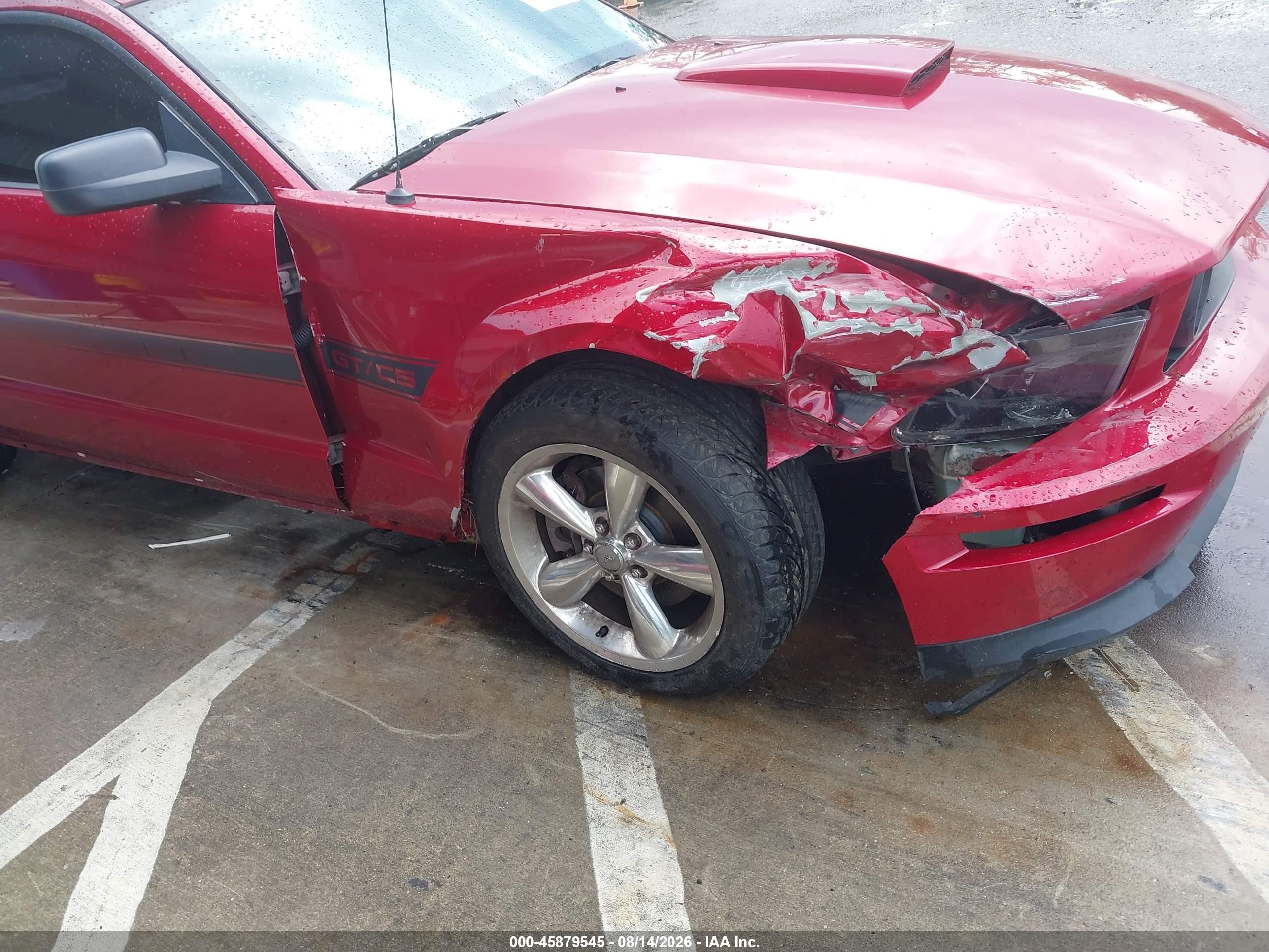 2009 Ford Mustang Gt Premium Red vin: 1ZVHT82H995106262