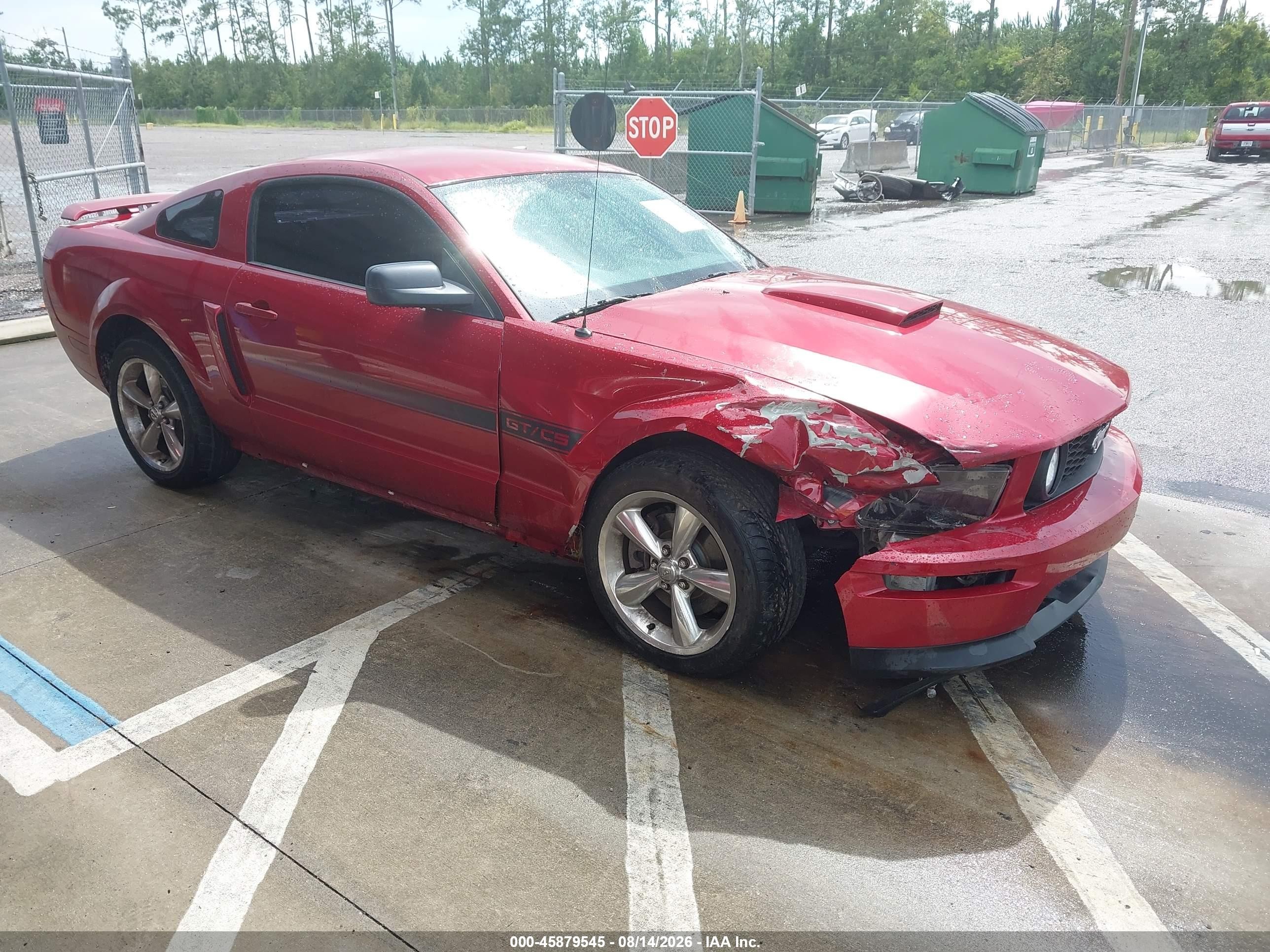 2009 Ford Mustang Gt Premium Red vin: 1ZVHT82H995106262
