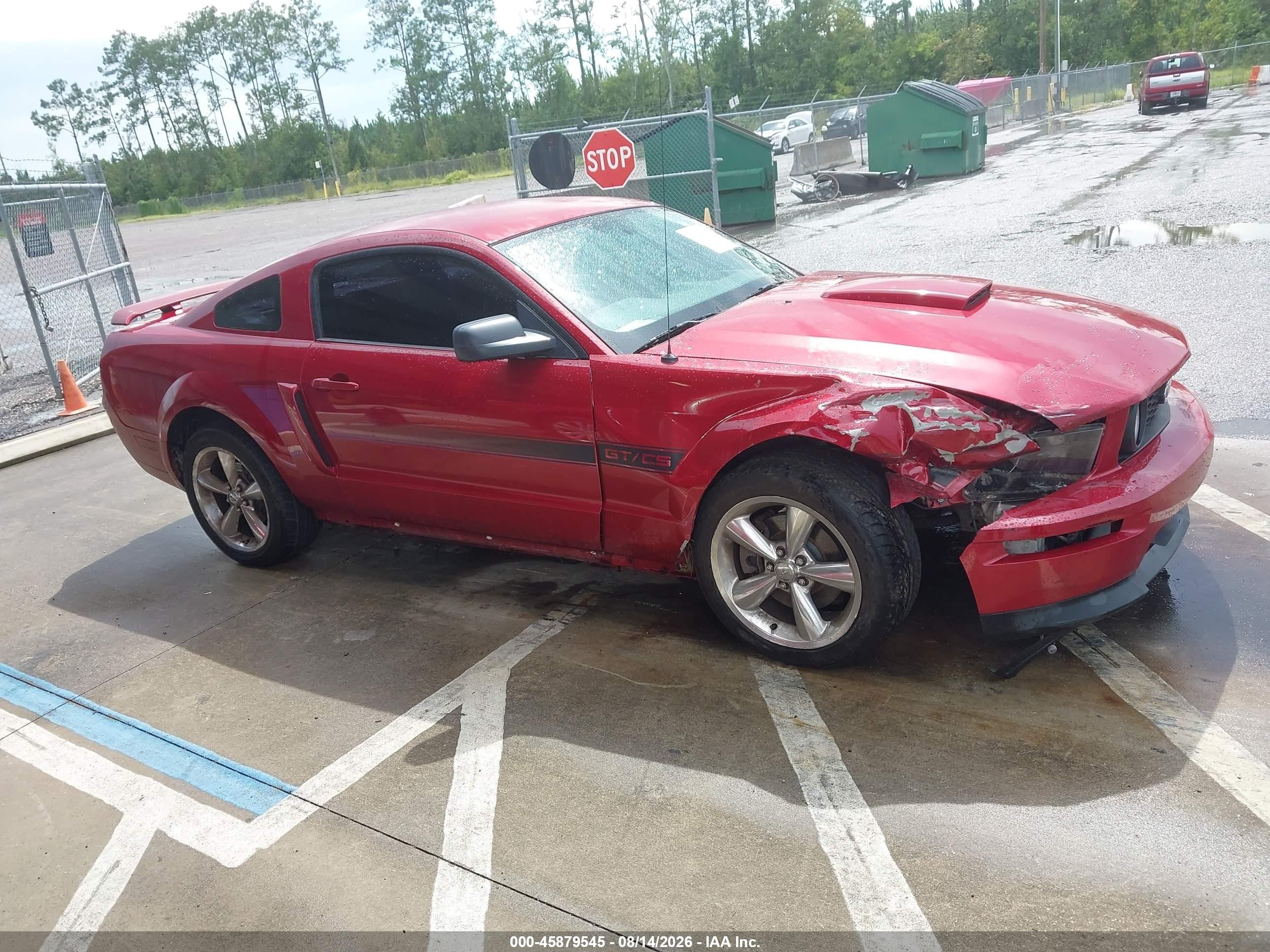 2009 Ford Mustang Gt Premium Red vin: 1ZVHT82H995106262