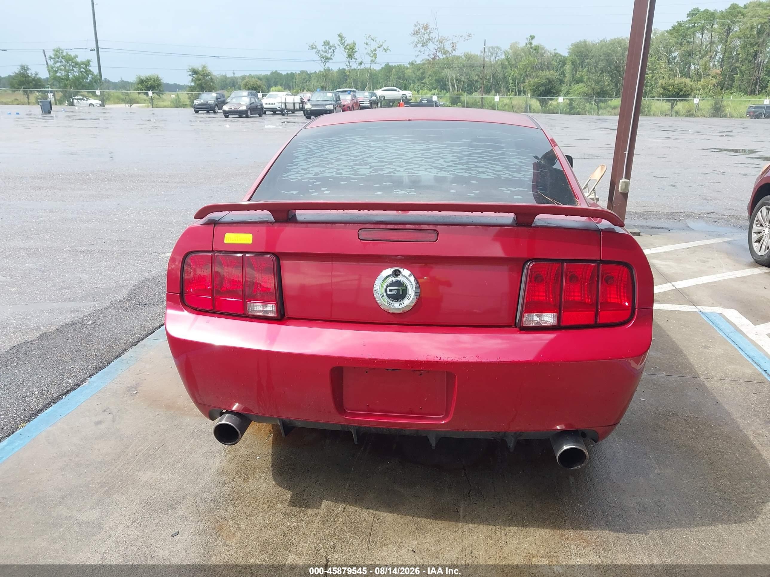 2009 Ford Mustang Gt Premium Red vin: 1ZVHT82H995106262