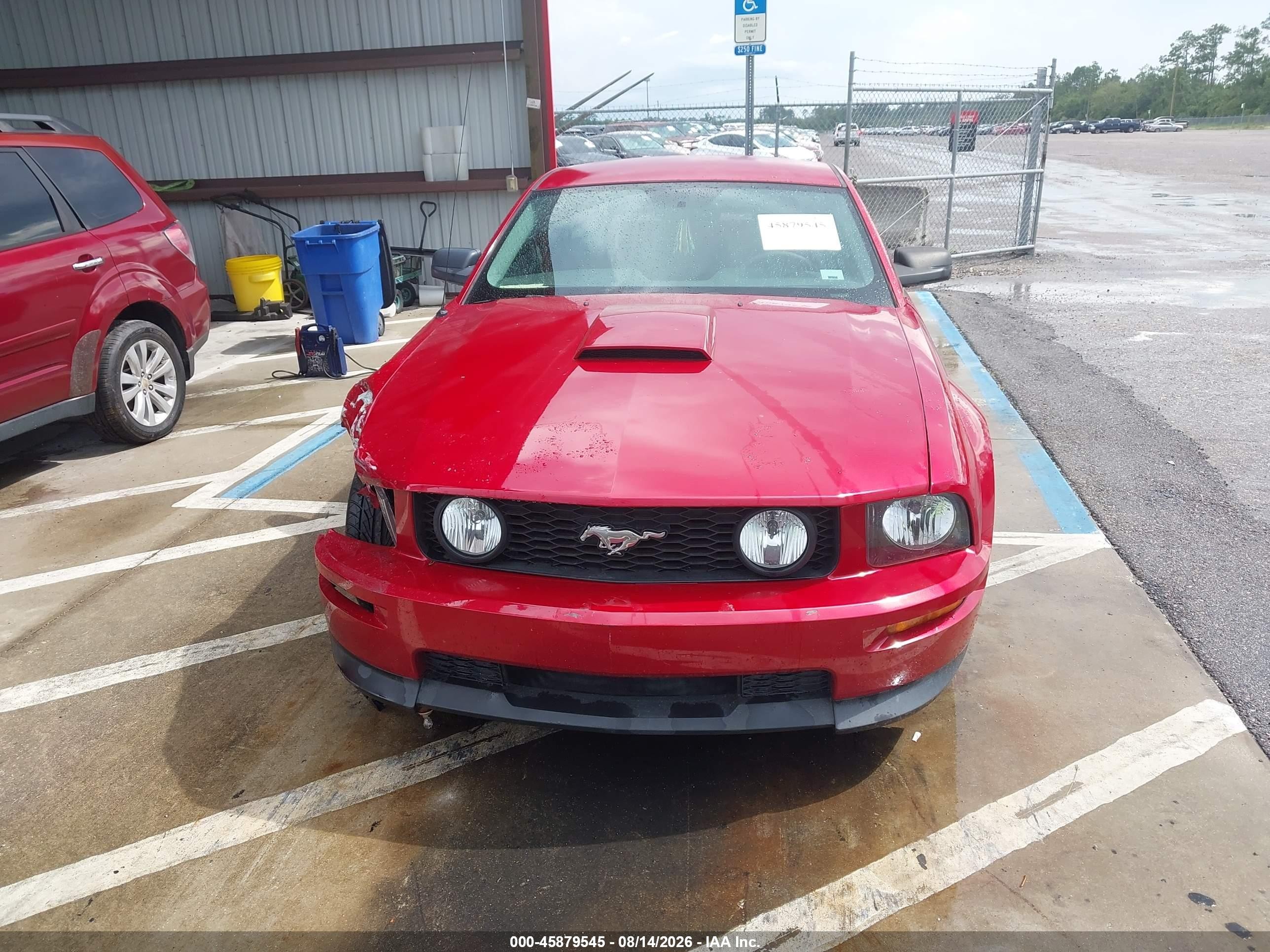 2009 Ford Mustang Gt Premium Red vin: 1ZVHT82H995106262