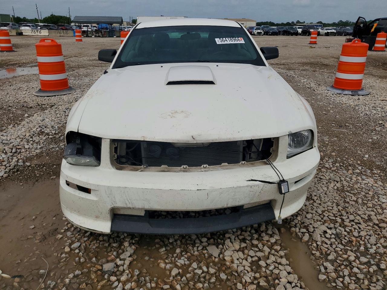 2008 Ford Mustang Gt White vin: 1ZVHT82HX85159695