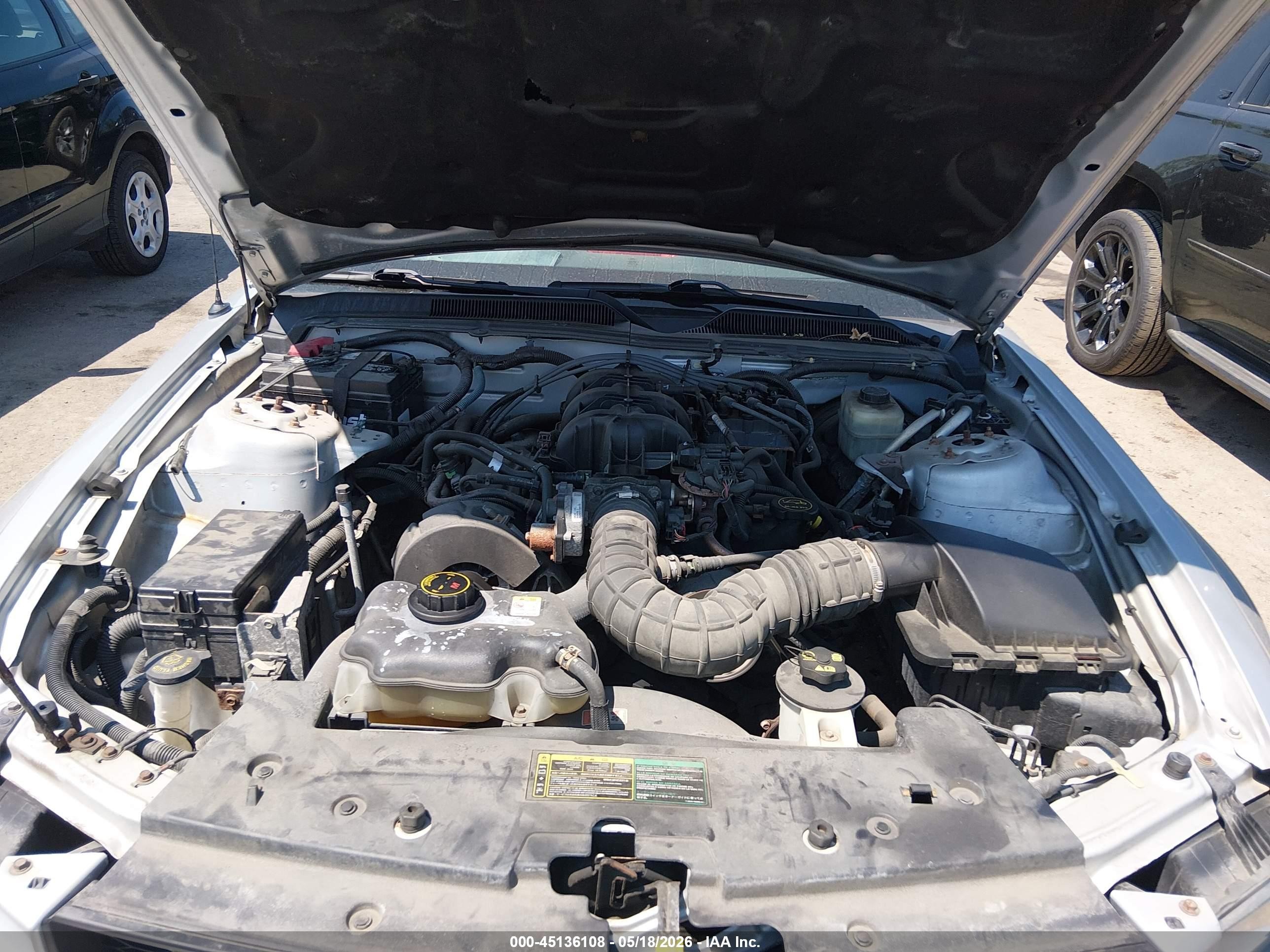2005 Ford Mustang   Silver vin: 1ZVHT84N055232345