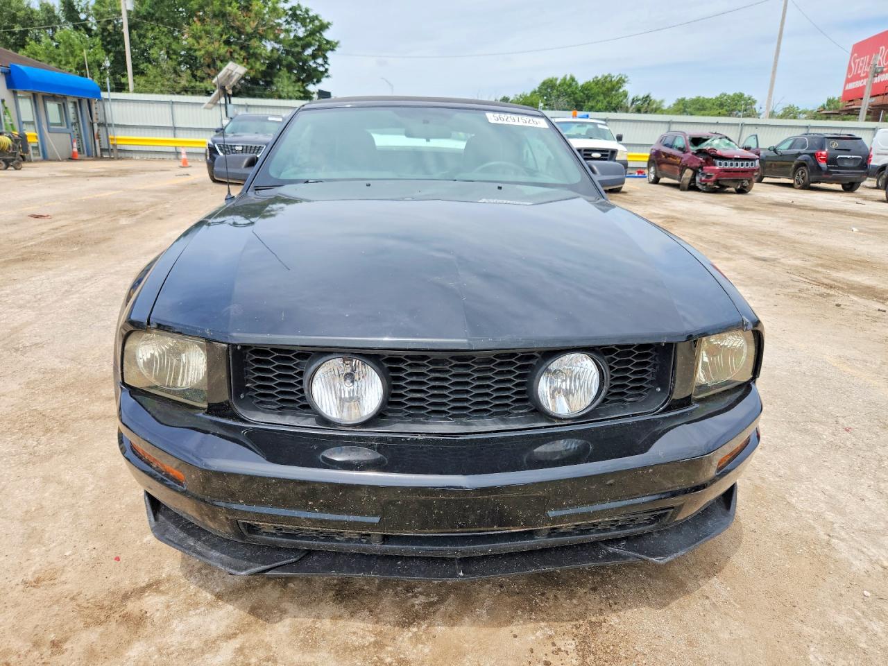 2006 Ford Mustang Black vin: 1ZVHT84N065142534