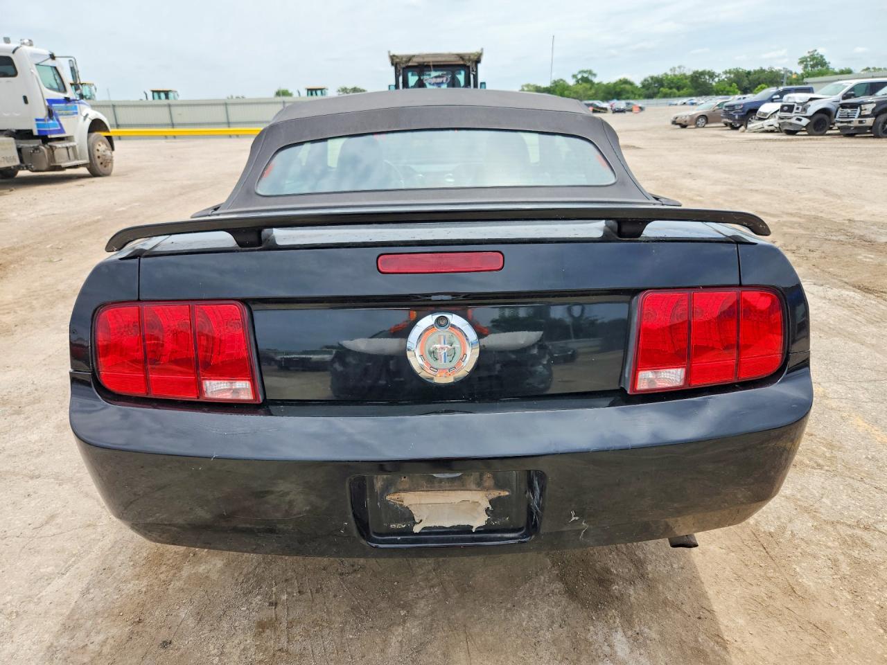 2006 Ford Mustang Black vin: 1ZVHT84N065142534