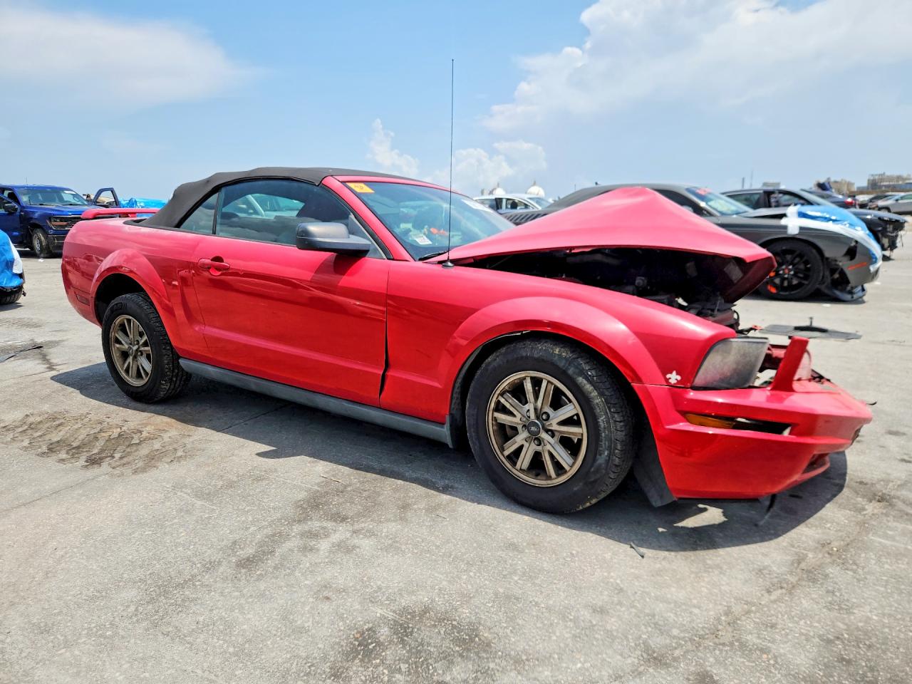 2006 Ford Mustang Красный vin: 1ZVHT84N065186047