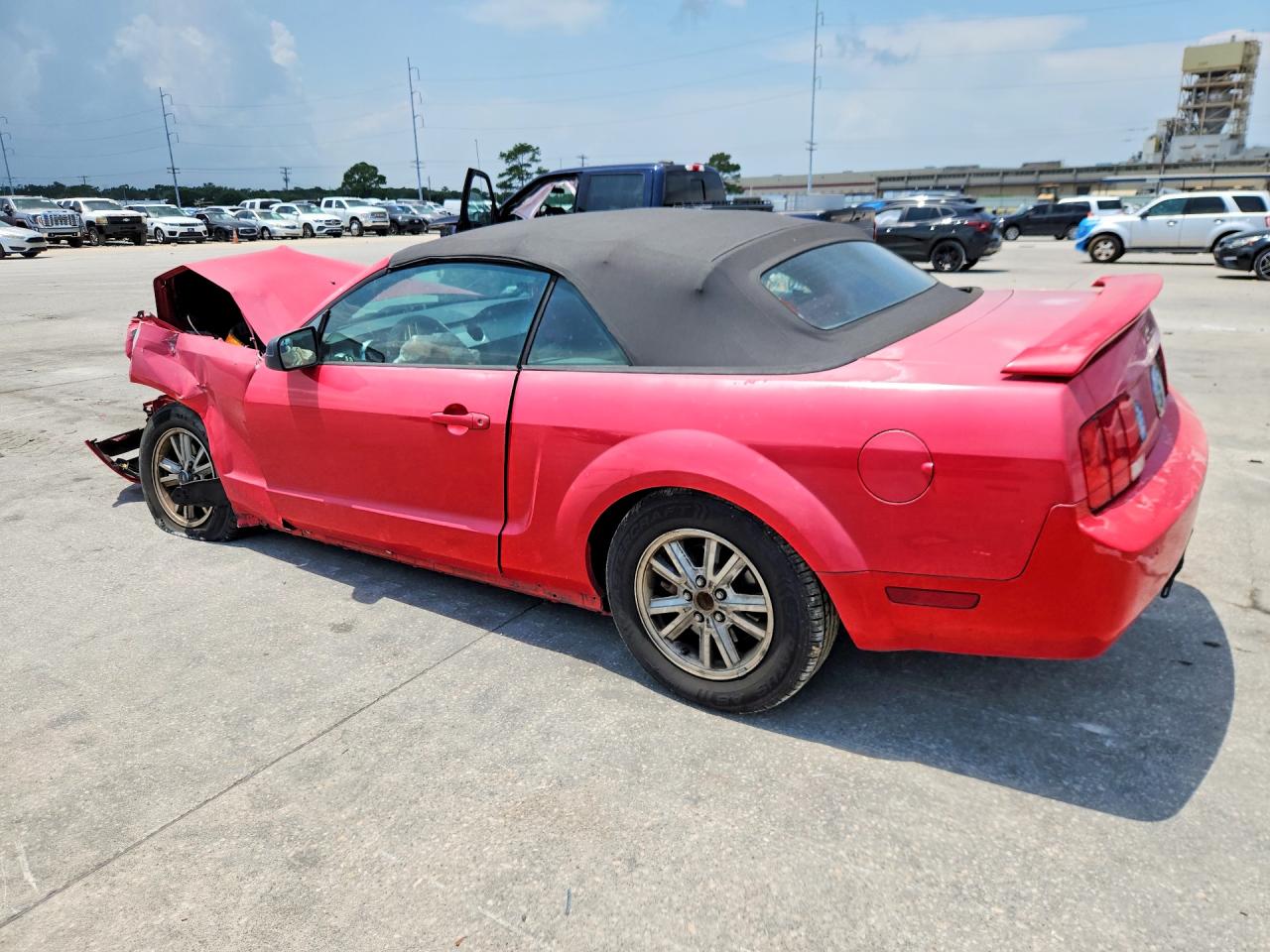 2006 Ford Mustang Красный vin: 1ZVHT84N065186047