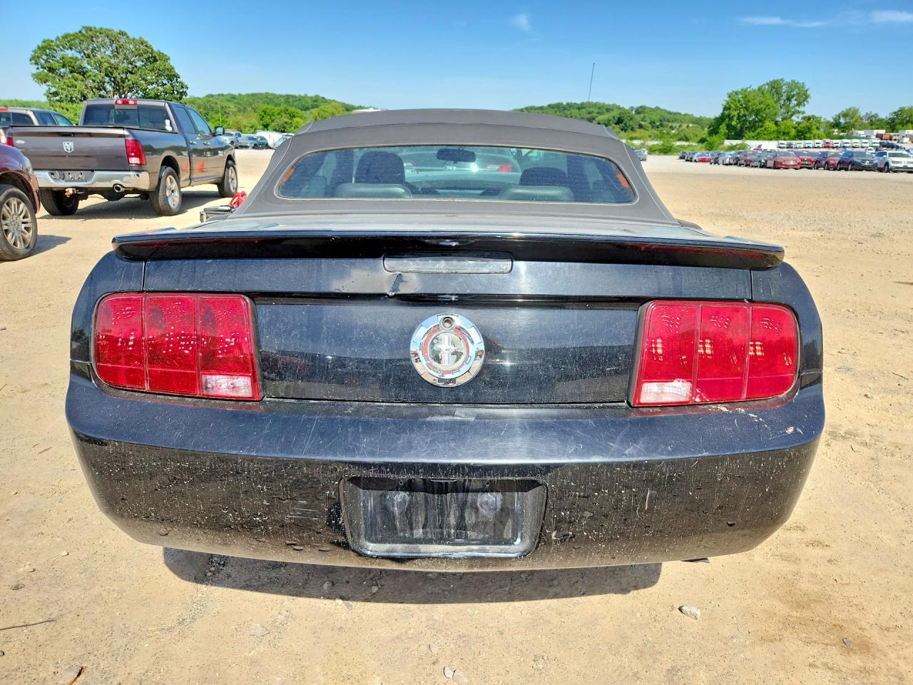 2008 Ford Mustang Black vin: 1ZVHT84N085108791
