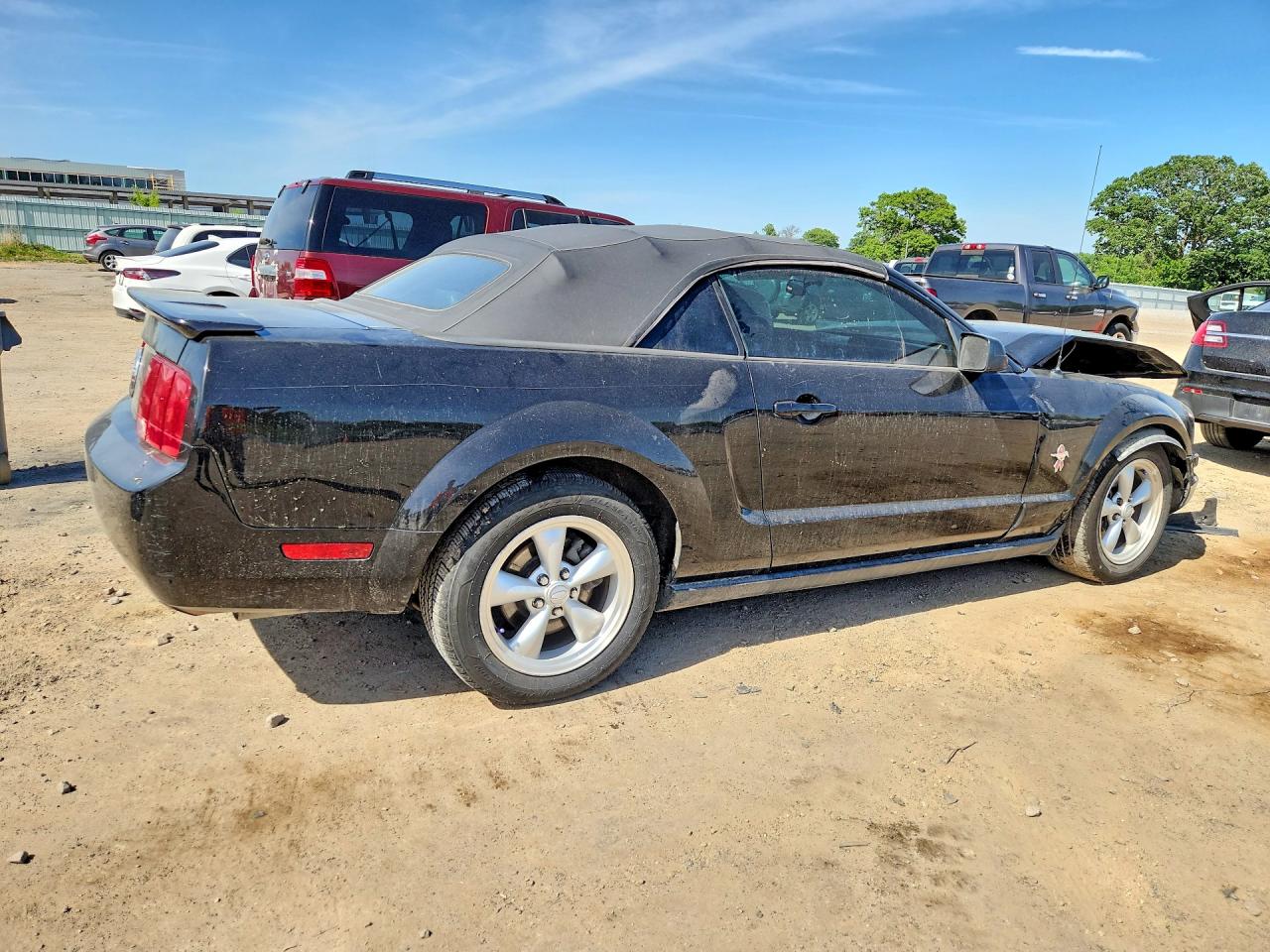 2008 Ford Mustang Black vin: 1ZVHT84N085108791