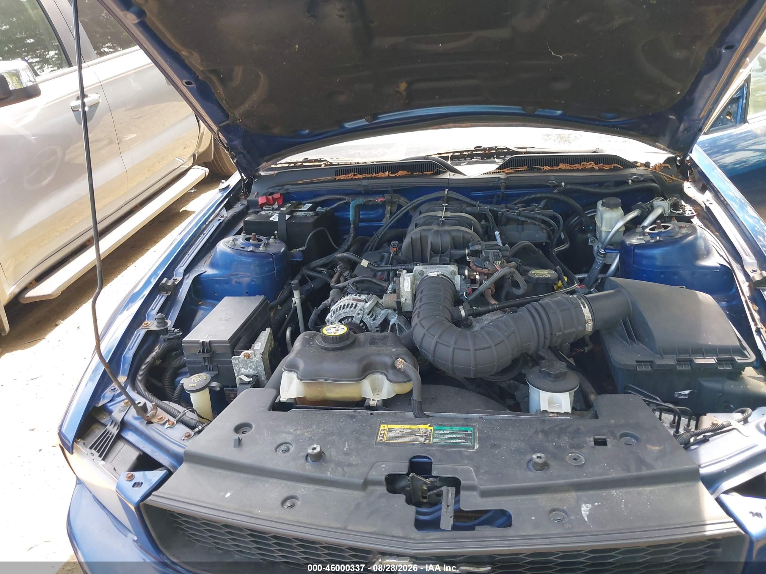 2009 Ford Mustang V6 Blue vin: 1ZVHT84N095131053