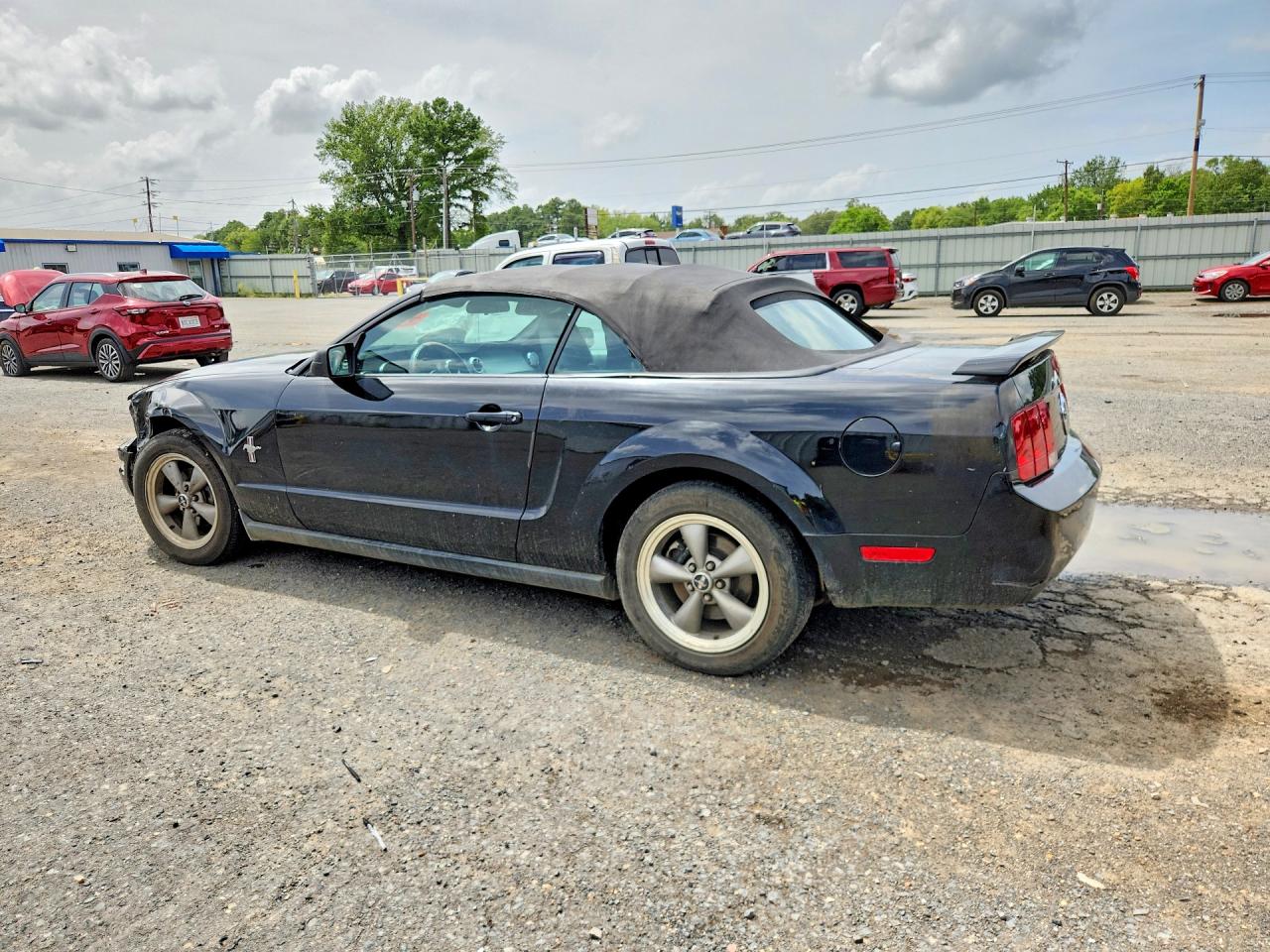2006 Ford Mustang Convertible Black vin: 1ZVHT84N165102754