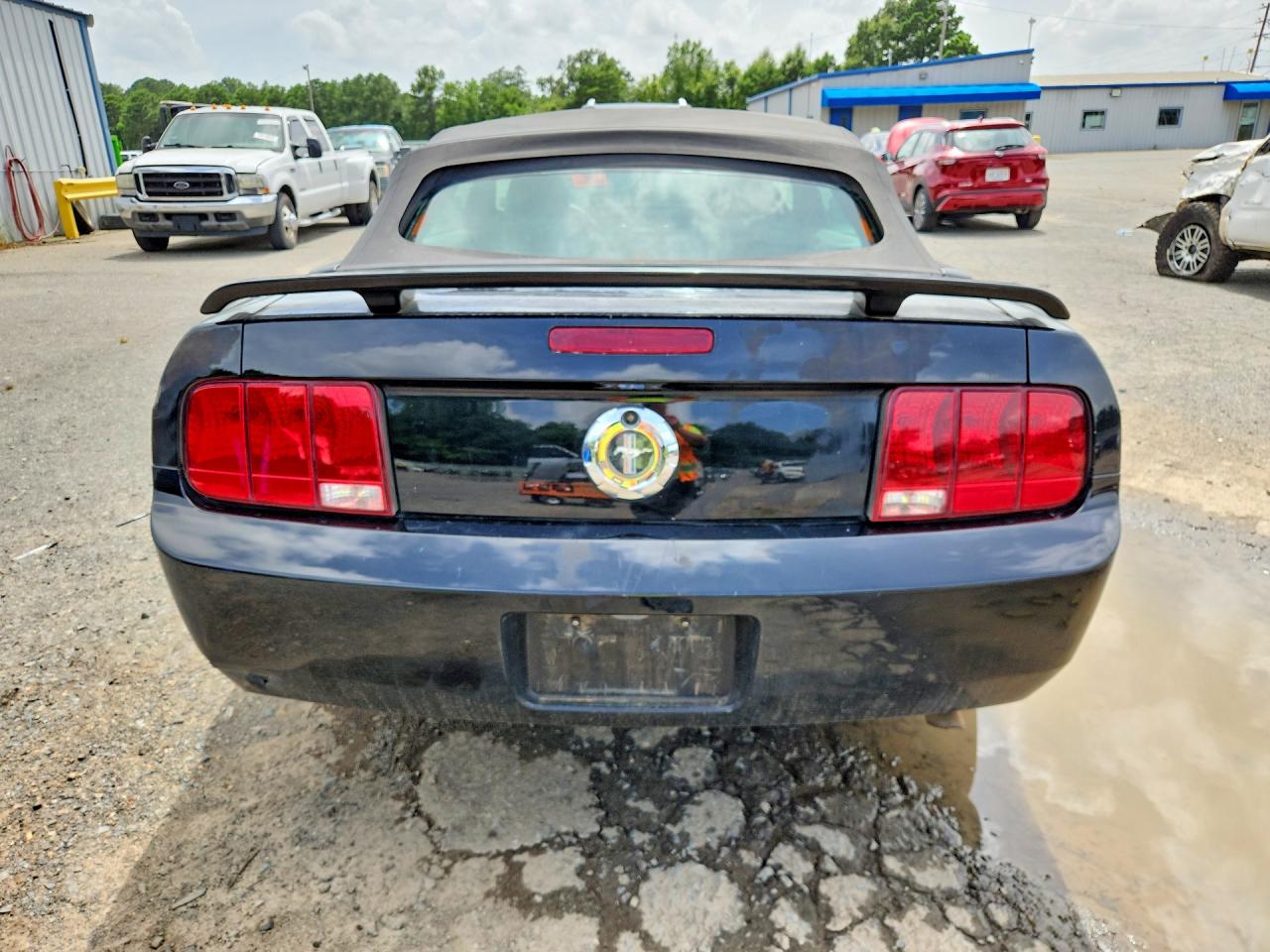 2006 Ford Mustang Convertible Black vin: 1ZVHT84N165102754