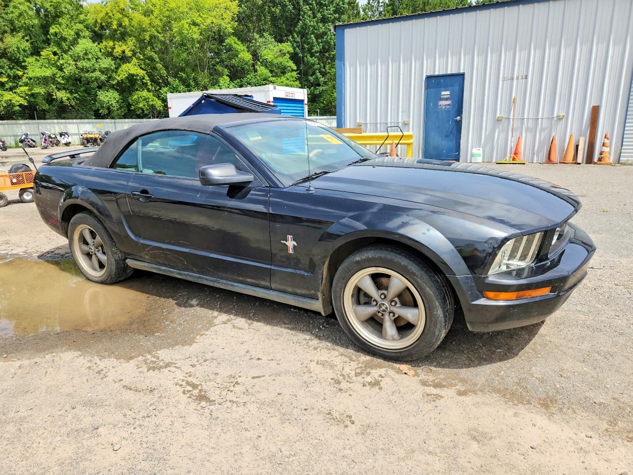 2006 Ford Mustang Convertible Black vin: 1ZVHT84N165102754