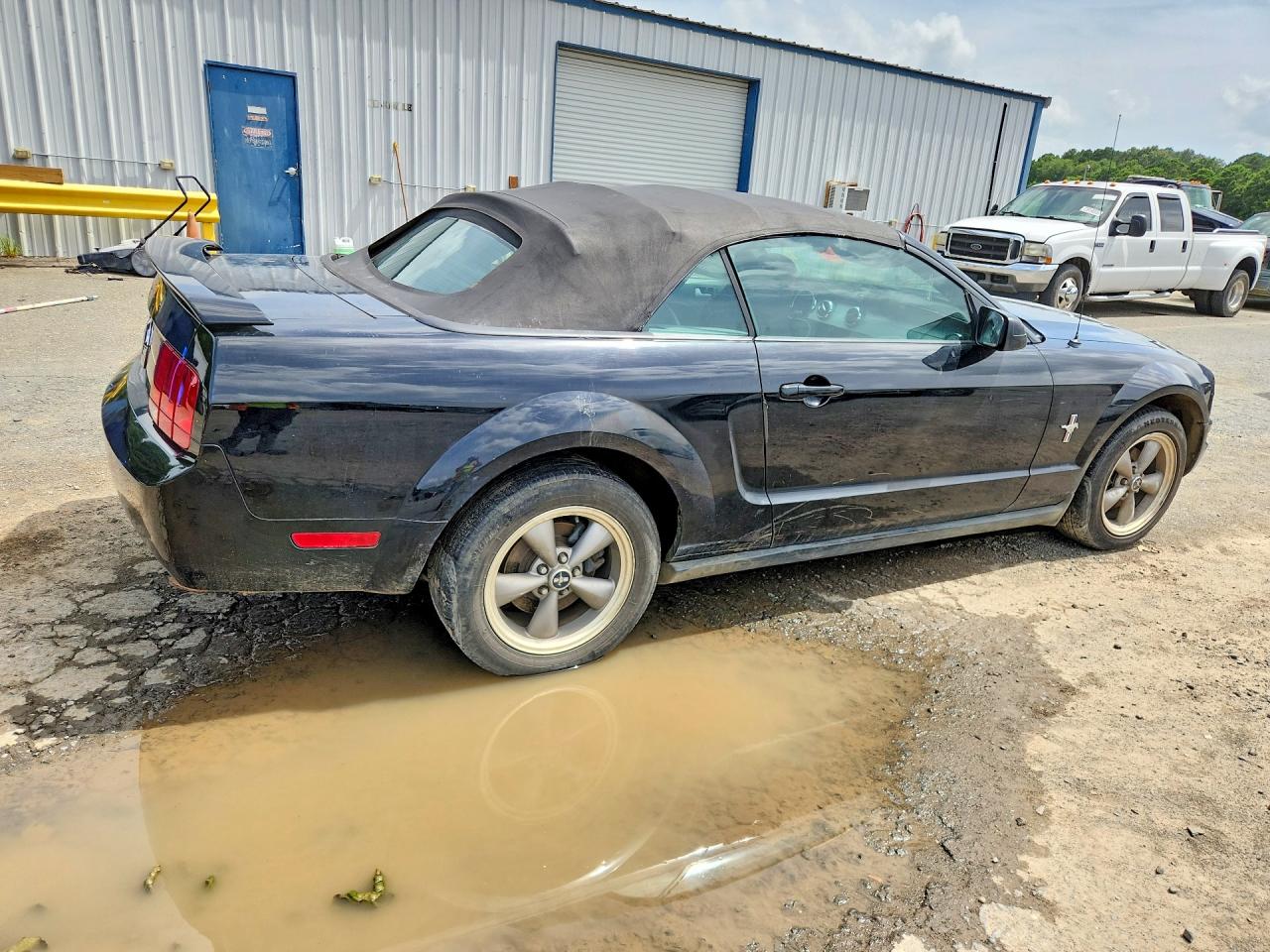 2006 Ford Mustang Convertible Black vin: 1ZVHT84N165102754