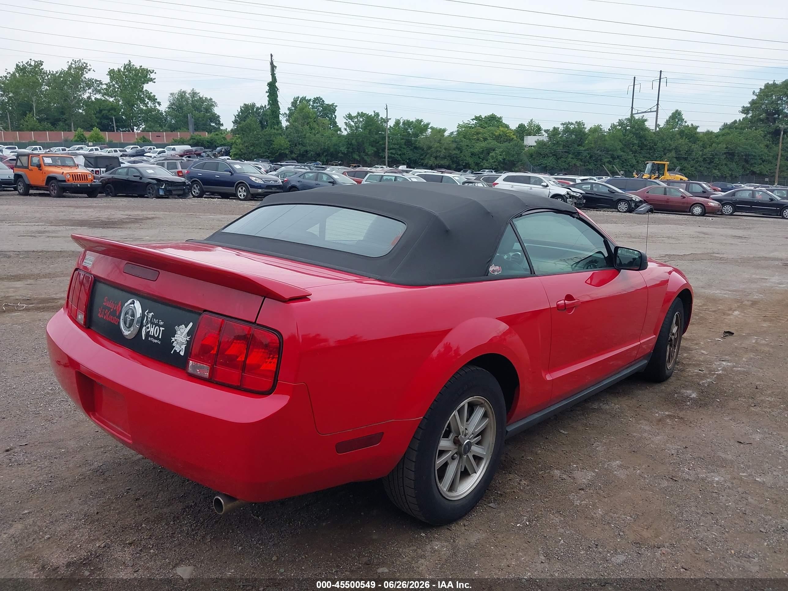 2006 Ford Mustang V6 Red vin: 1ZVHT84N165231318