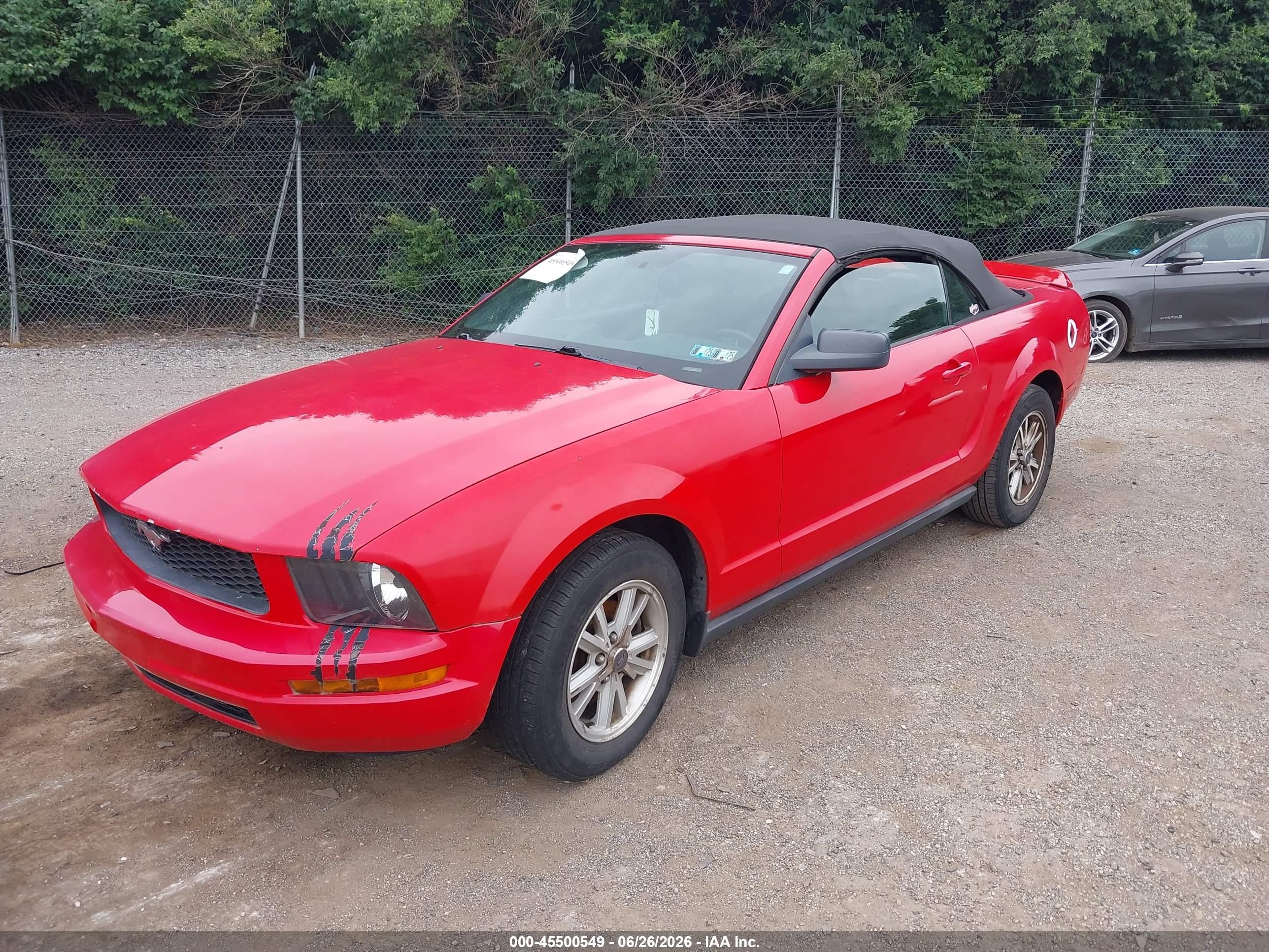 2006 Ford Mustang V6 Red vin: 1ZVHT84N165231318