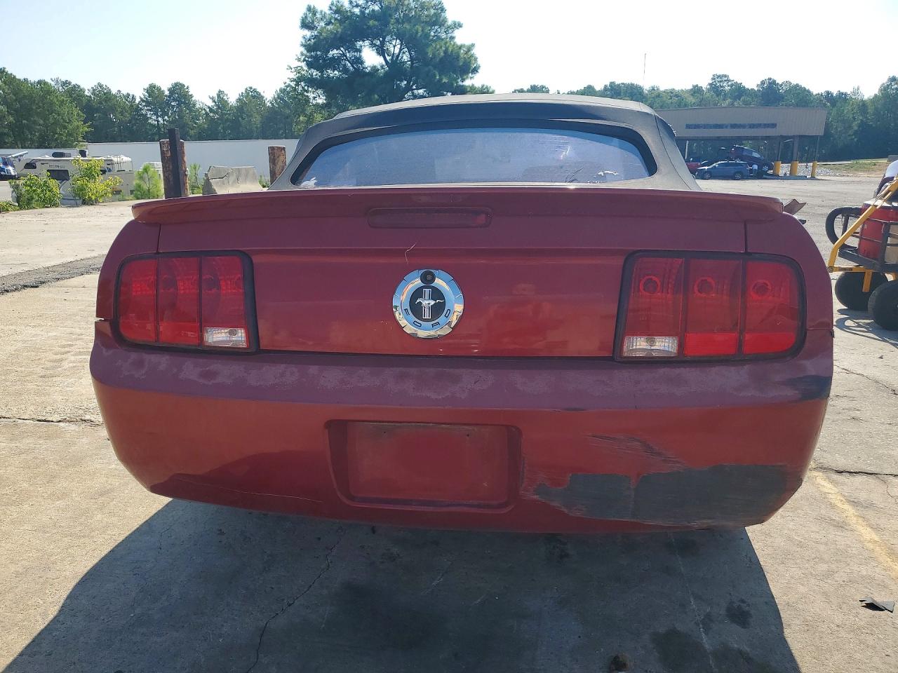 2008 Ford Mustang Red vin: 1ZVHT84N185118729