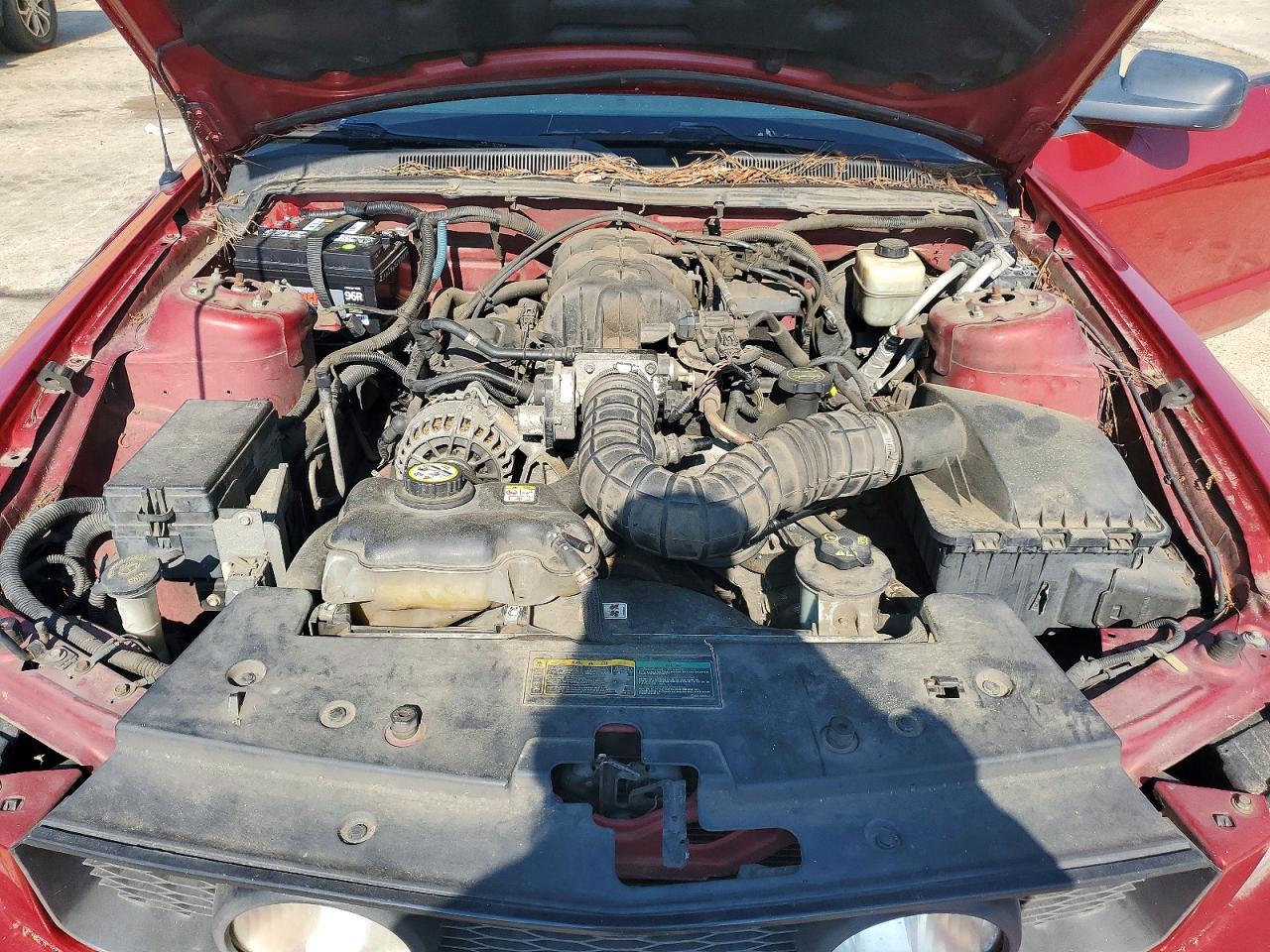 2008 Ford Mustang Red vin: 1ZVHT84N185118729