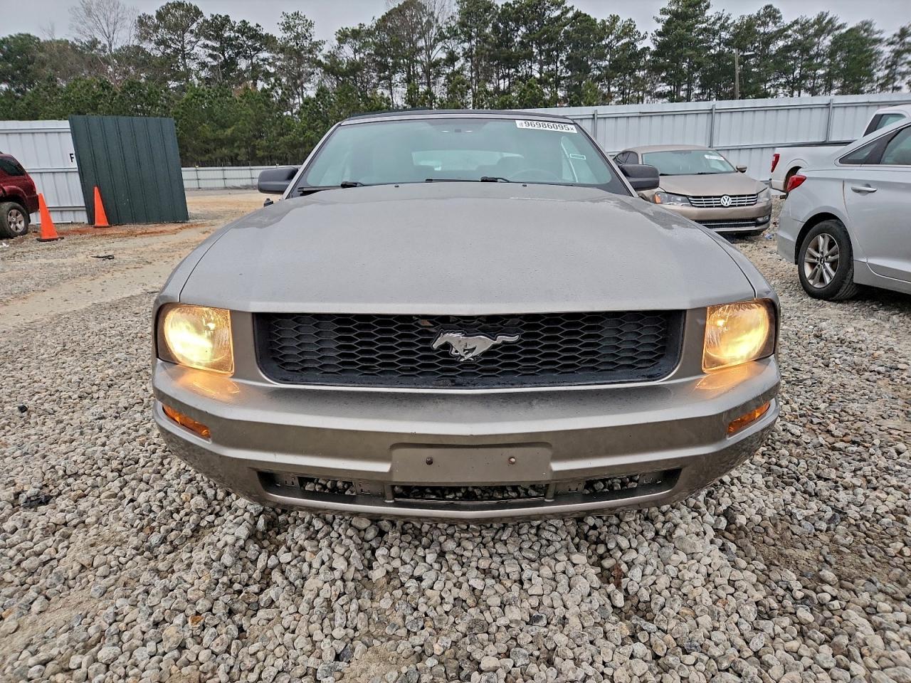 2008 Ford Mustang Gray vin: 1ZVHT84N185178980