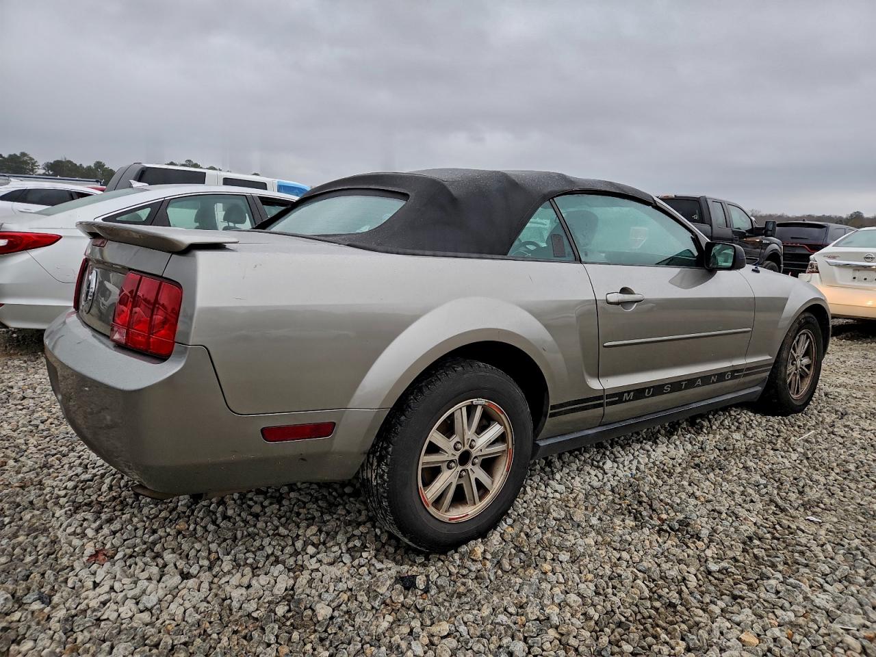 2008 Ford Mustang Gray vin: 1ZVHT84N185178980