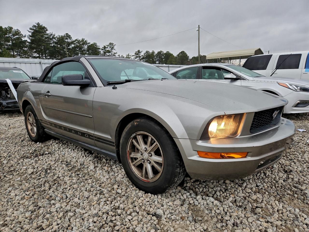 2008 Ford Mustang Gray vin: 1ZVHT84N185178980