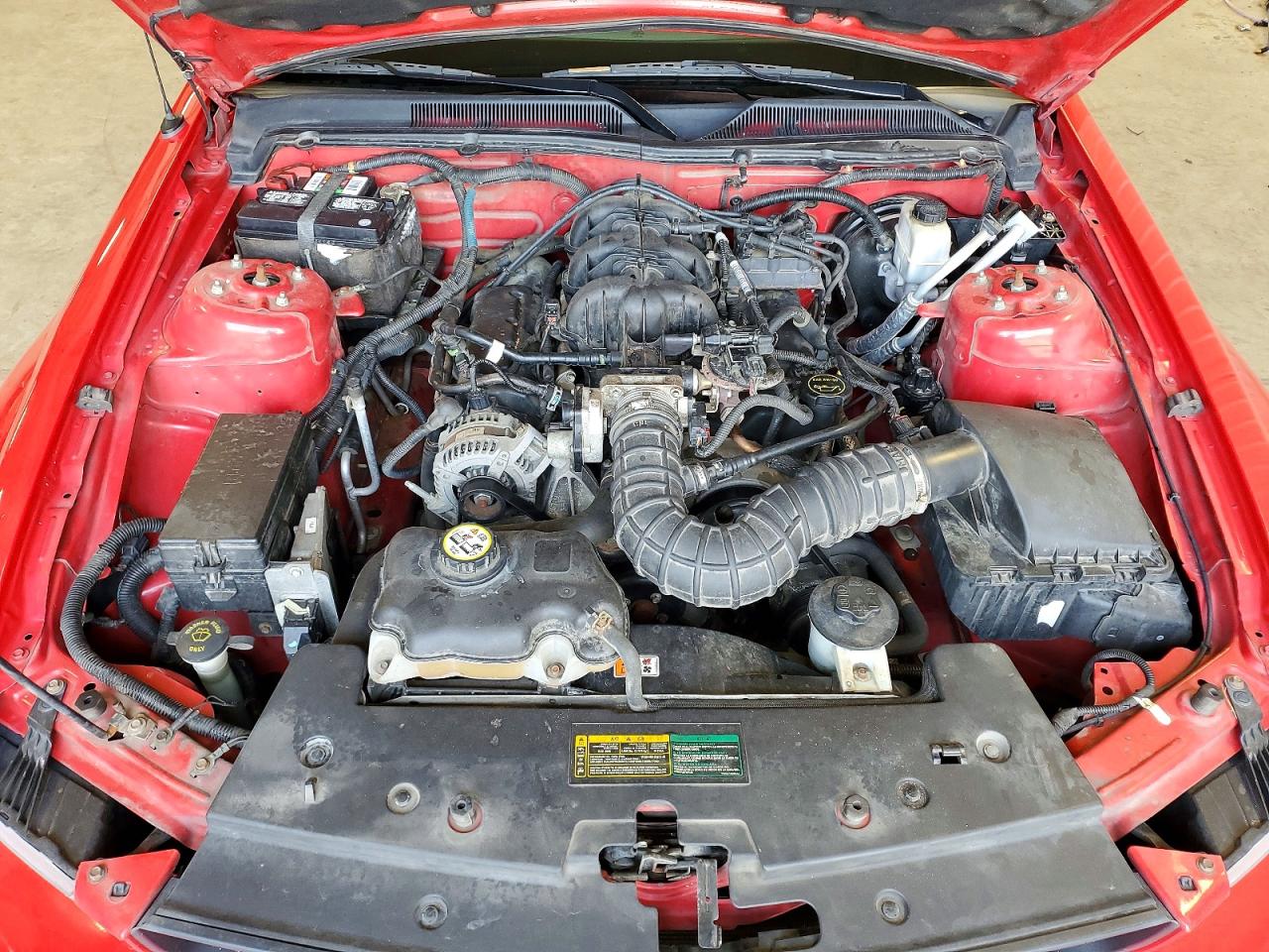 2009 Ford Mustang Red vin: 1ZVHT84N195108011