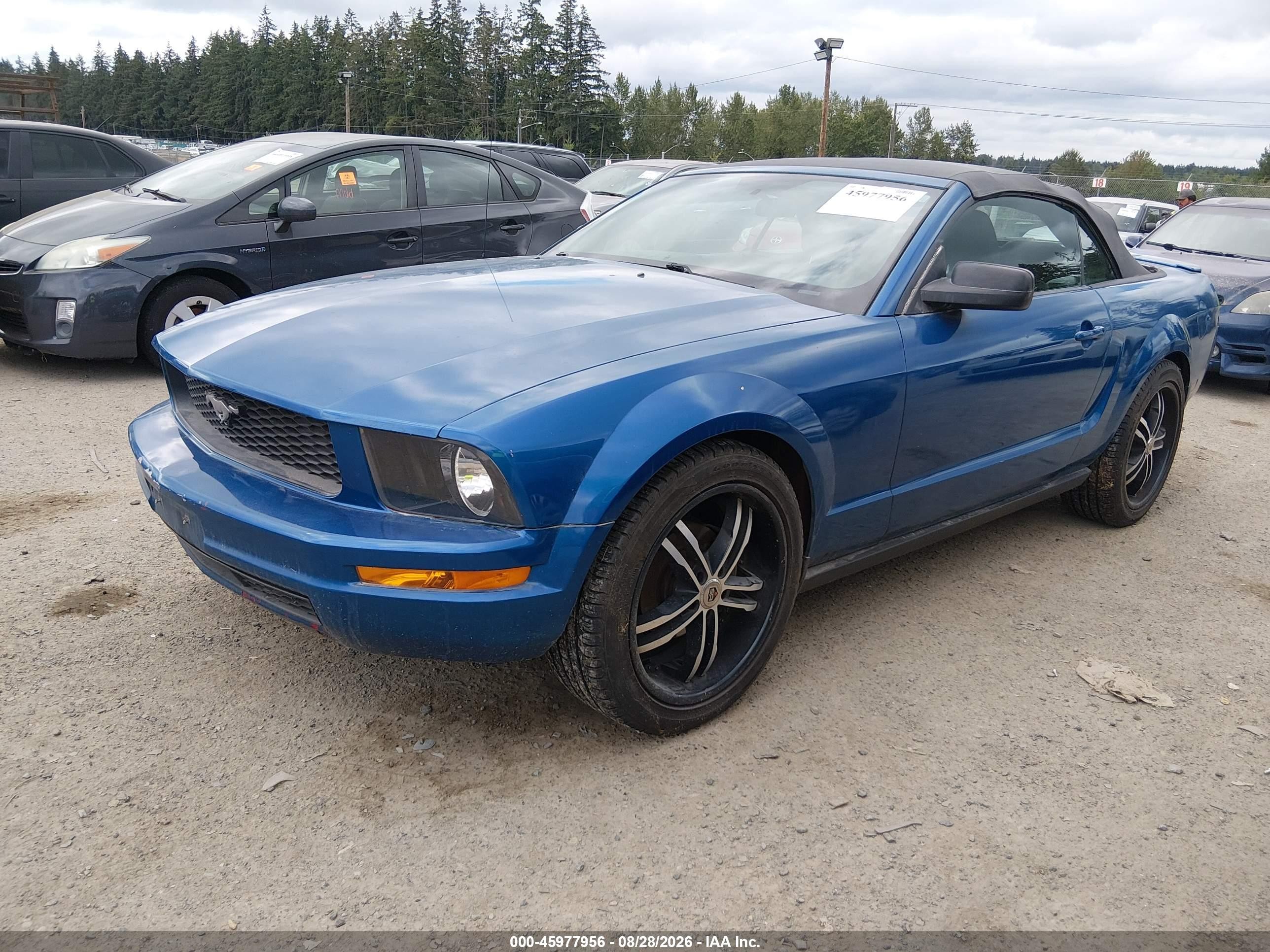 2008 Ford Mustang V6 Deluxe/v6 Premium Blue vin: 1ZVHT84N285141095