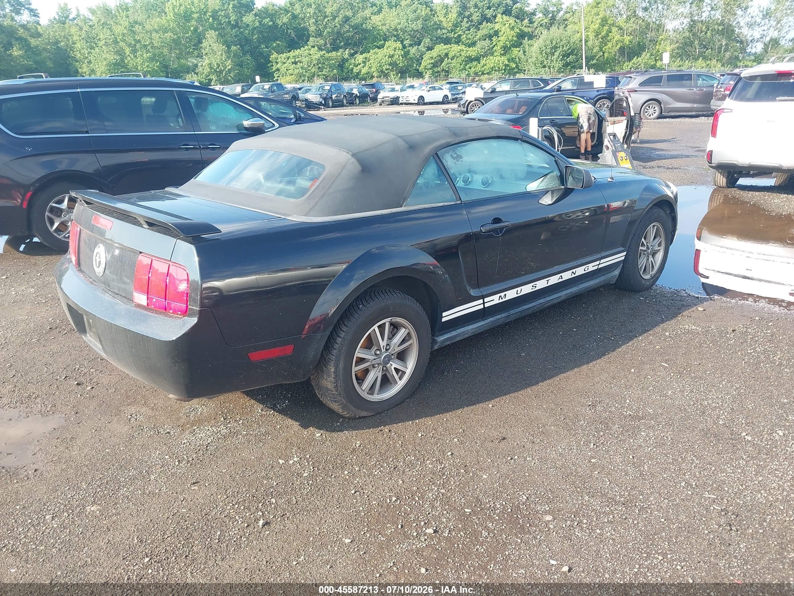 2005 Ford Mustang   Черный vin: 1ZVHT84N355192598