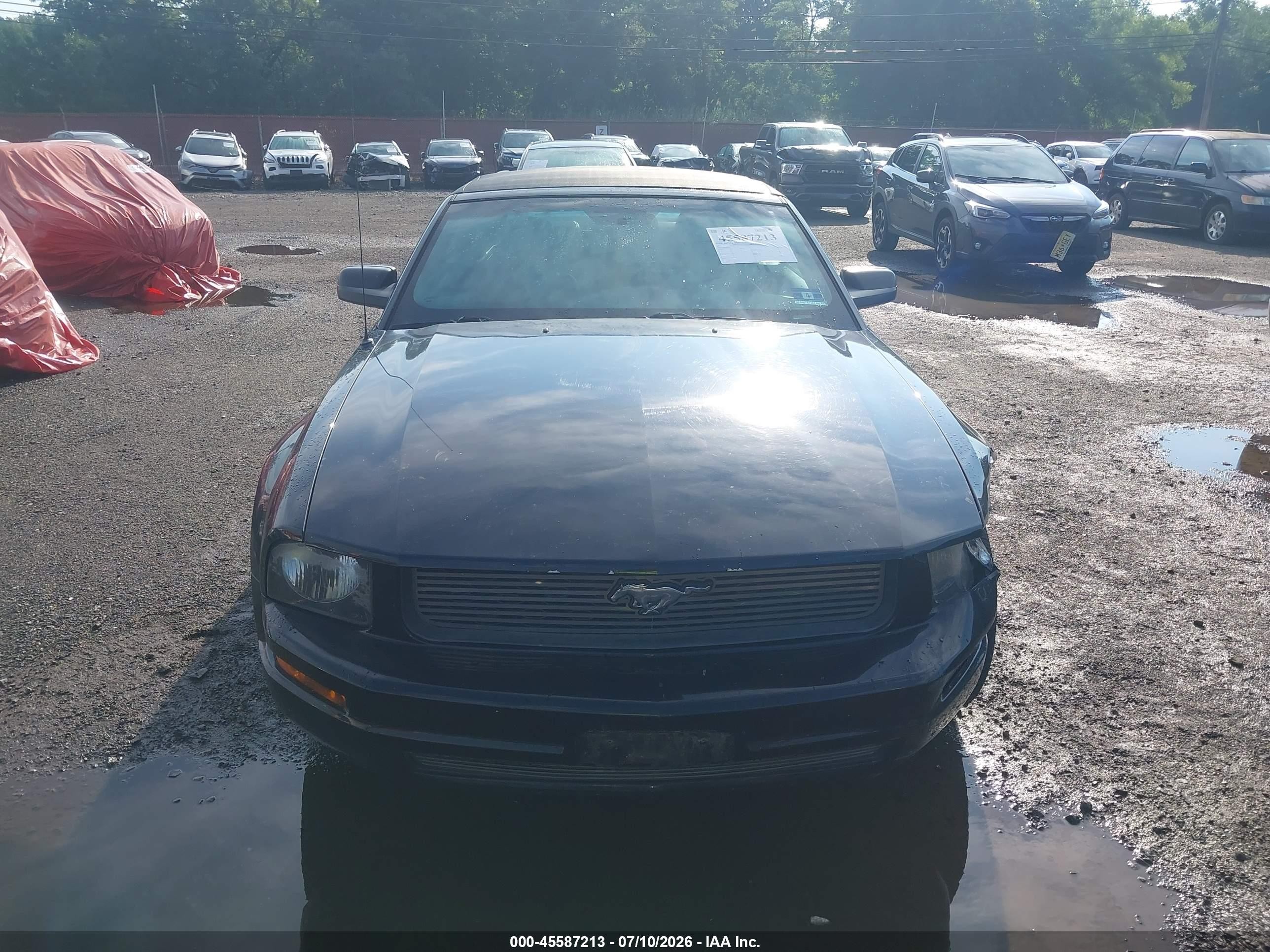 2005 Ford Mustang   Черный vin: 1ZVHT84N355192598